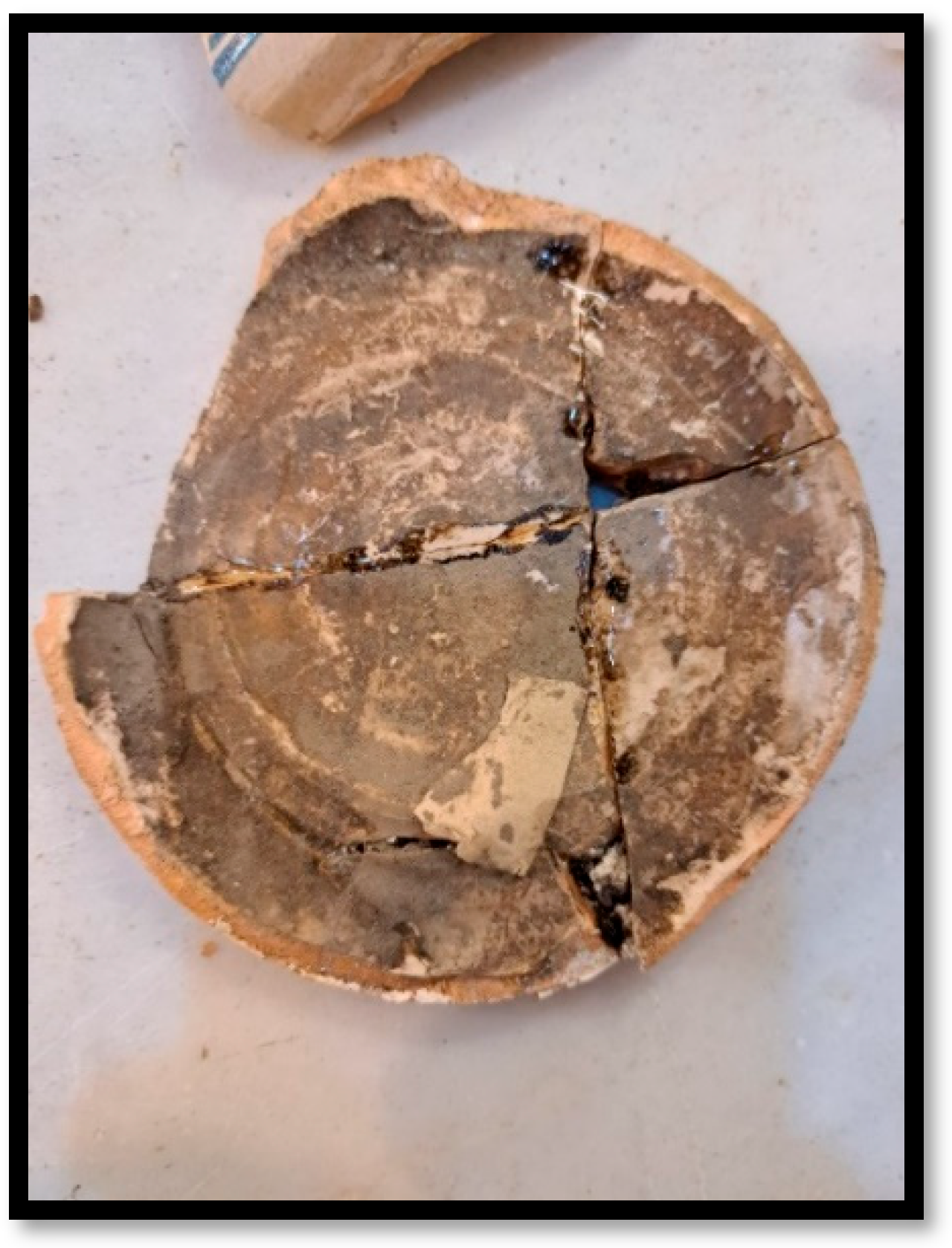 Heritage 08 00445 g008