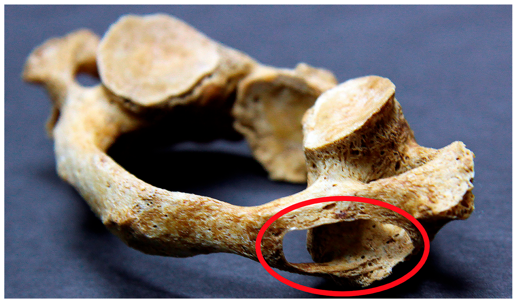 Heritage 08 00452 g001 Heritage 08 00452 g001