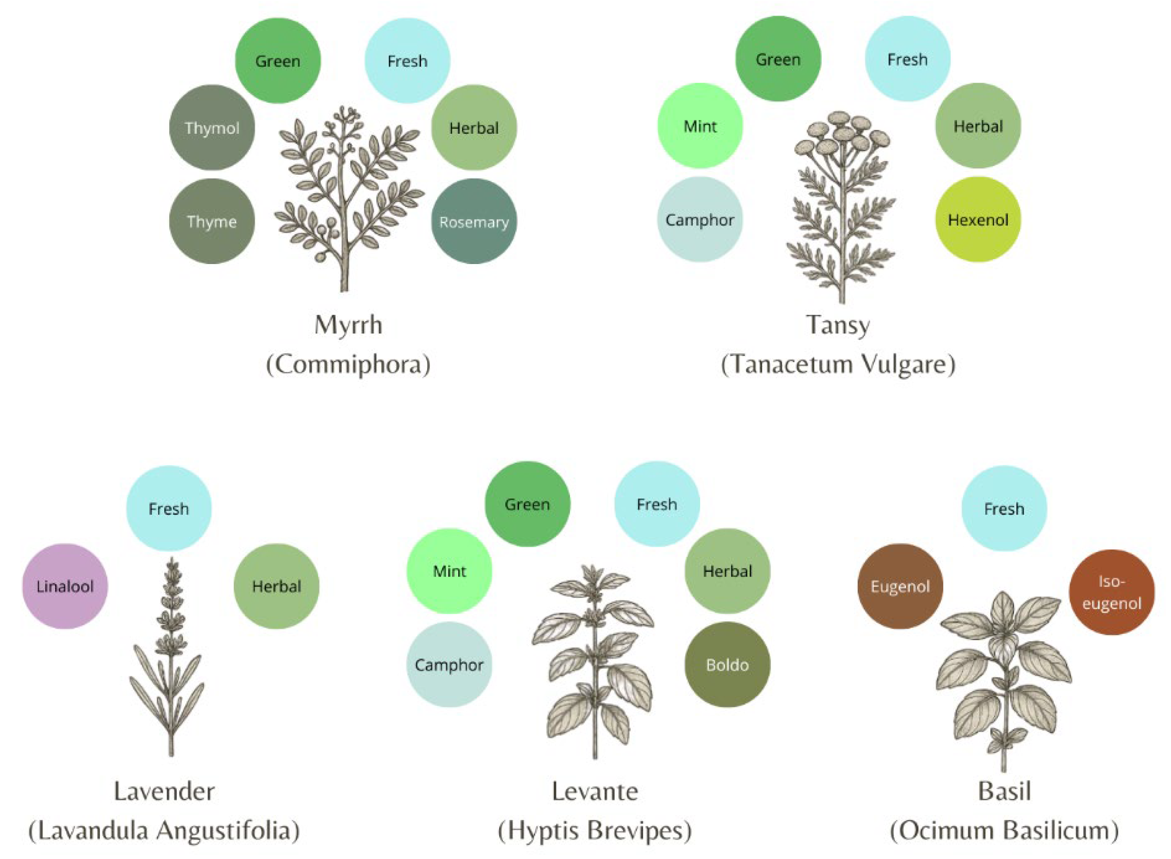 Heritage 08 00457 g010