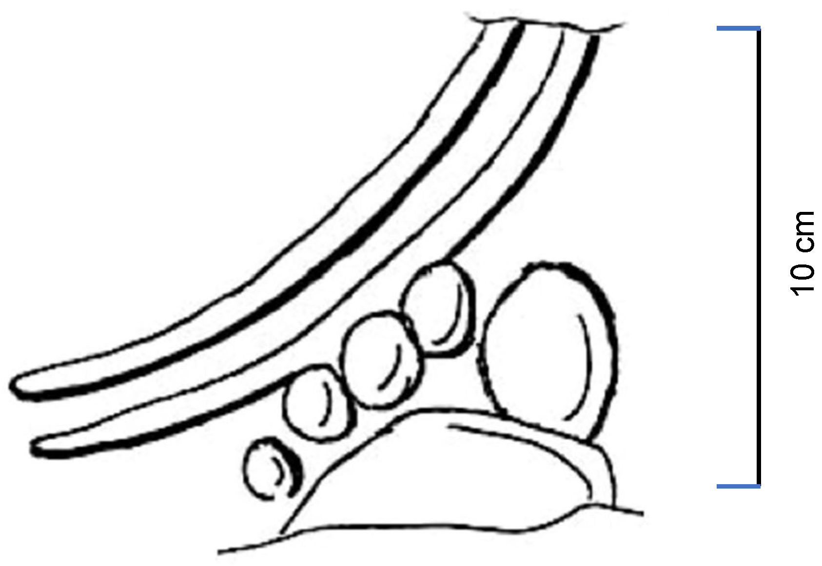 Heritage 08 00471 g009