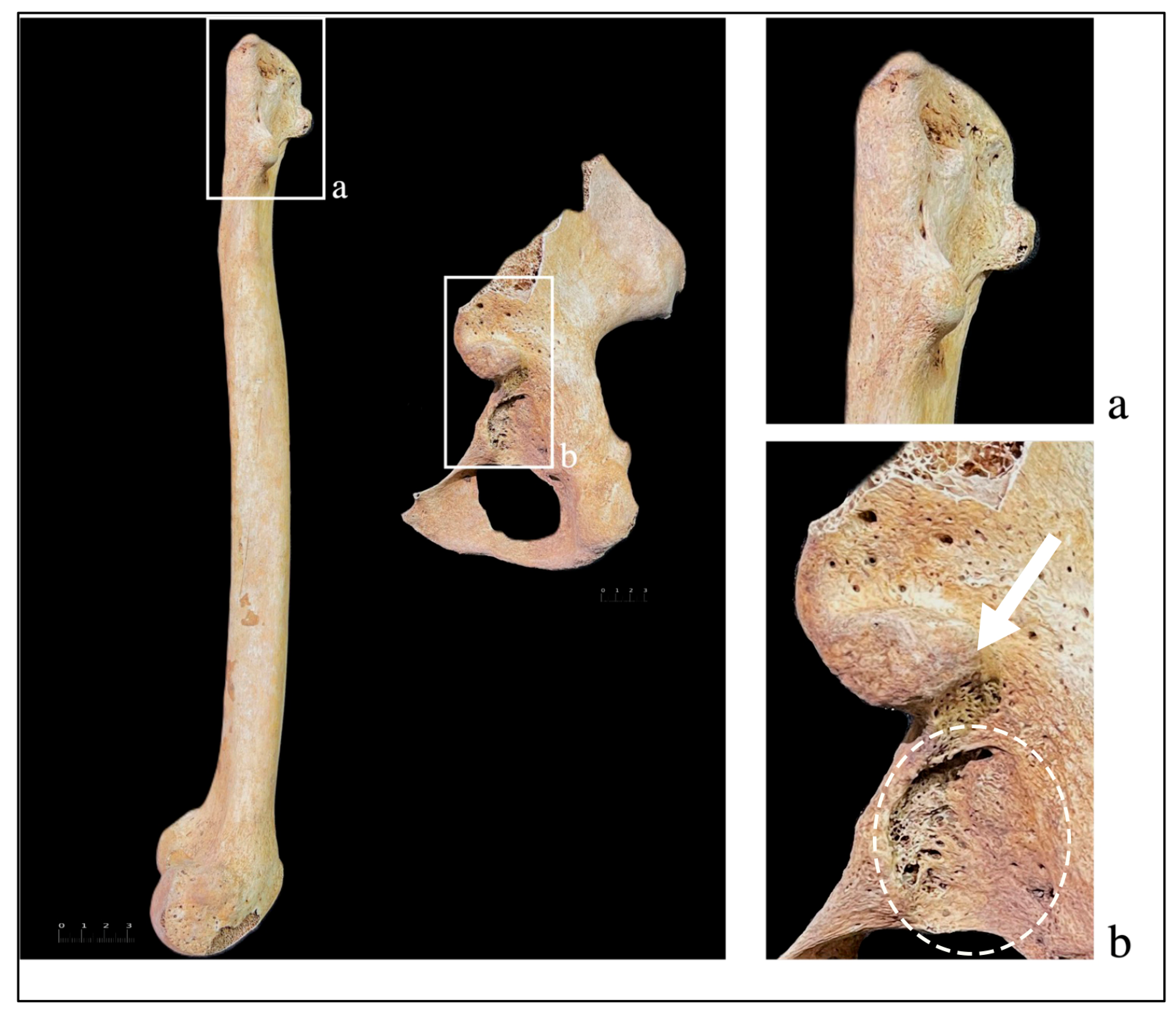 Heritage 08 00489 g002