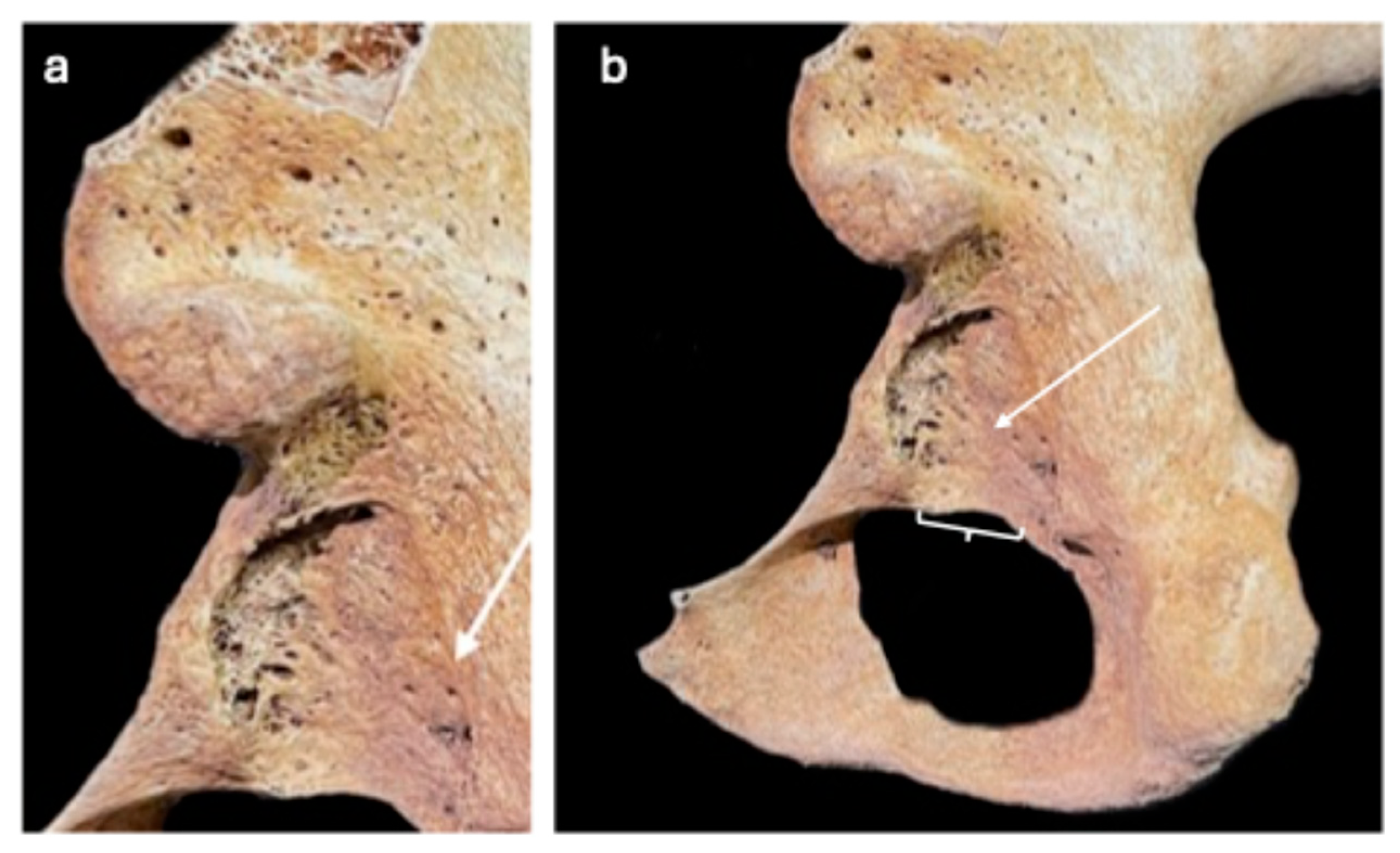 Heritage 08 00489 g003