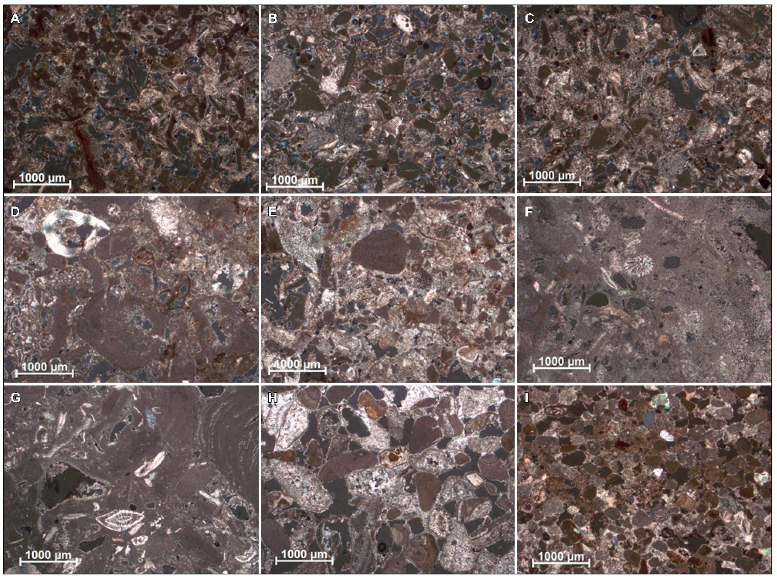 Heritage 08 00496 g007