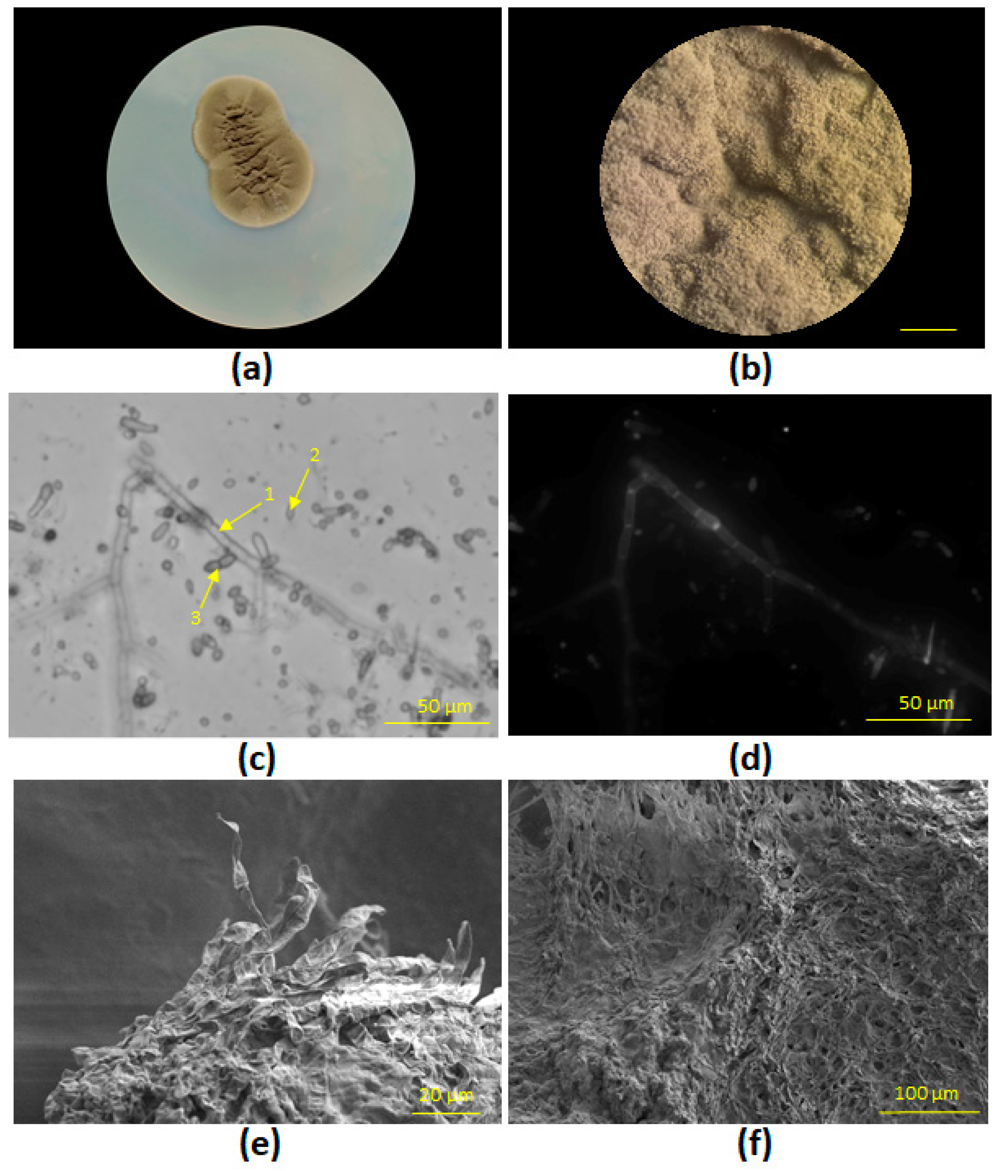 Heritage 08 00498 g003