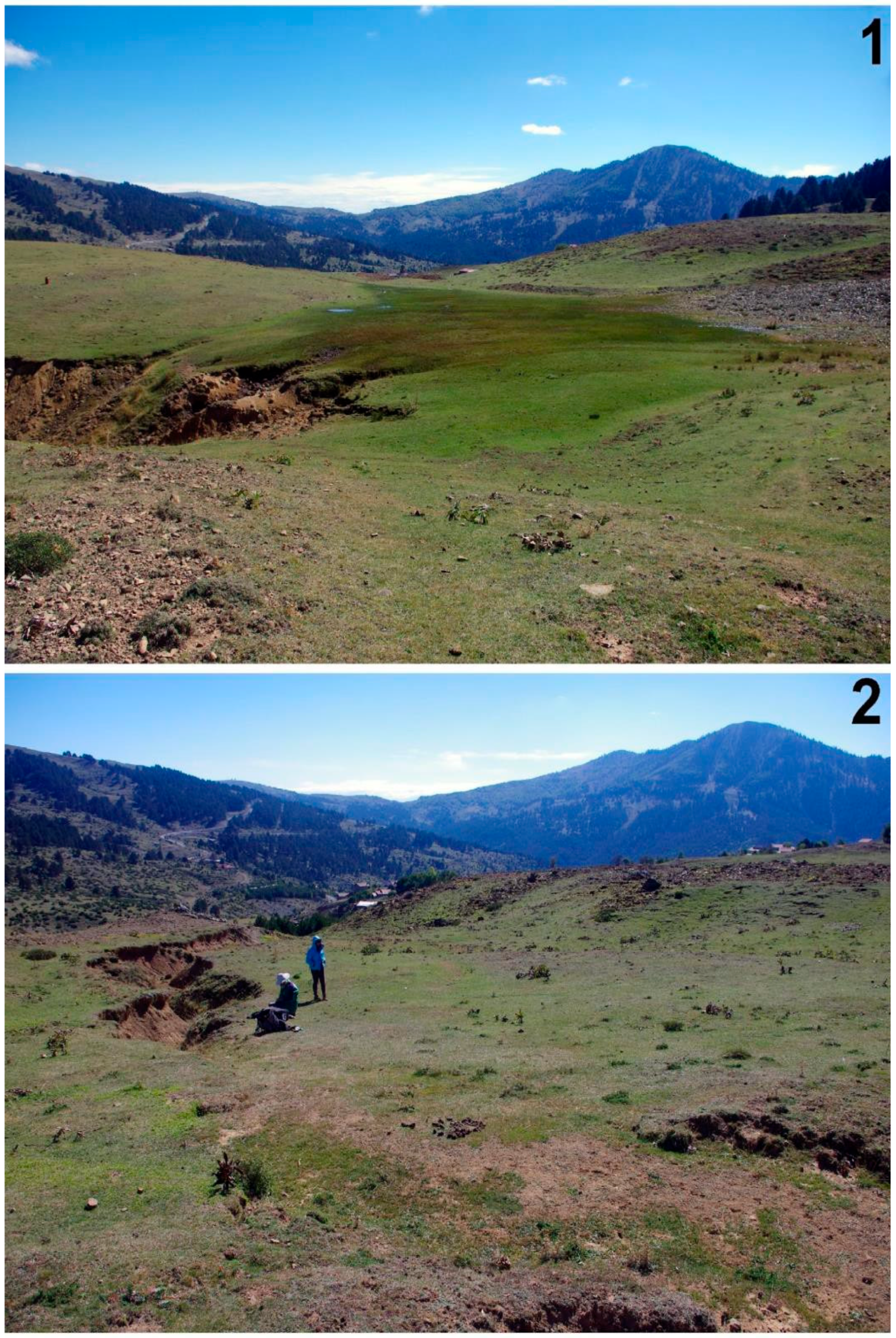 Heritage 08 00500 g004 Heritage 08 00500 g004