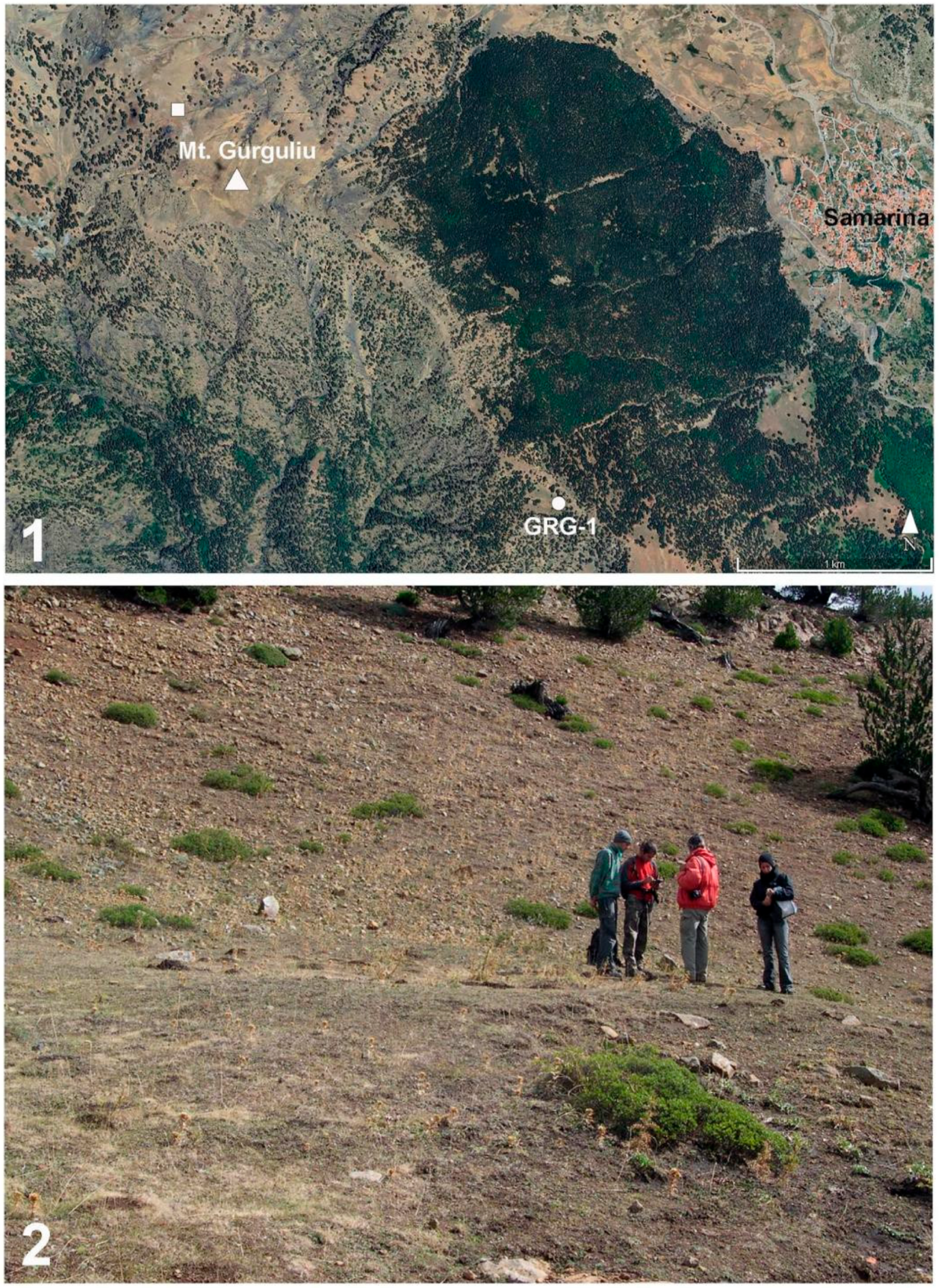 Heritage 08 00500 g008 Heritage 08 00500 g008