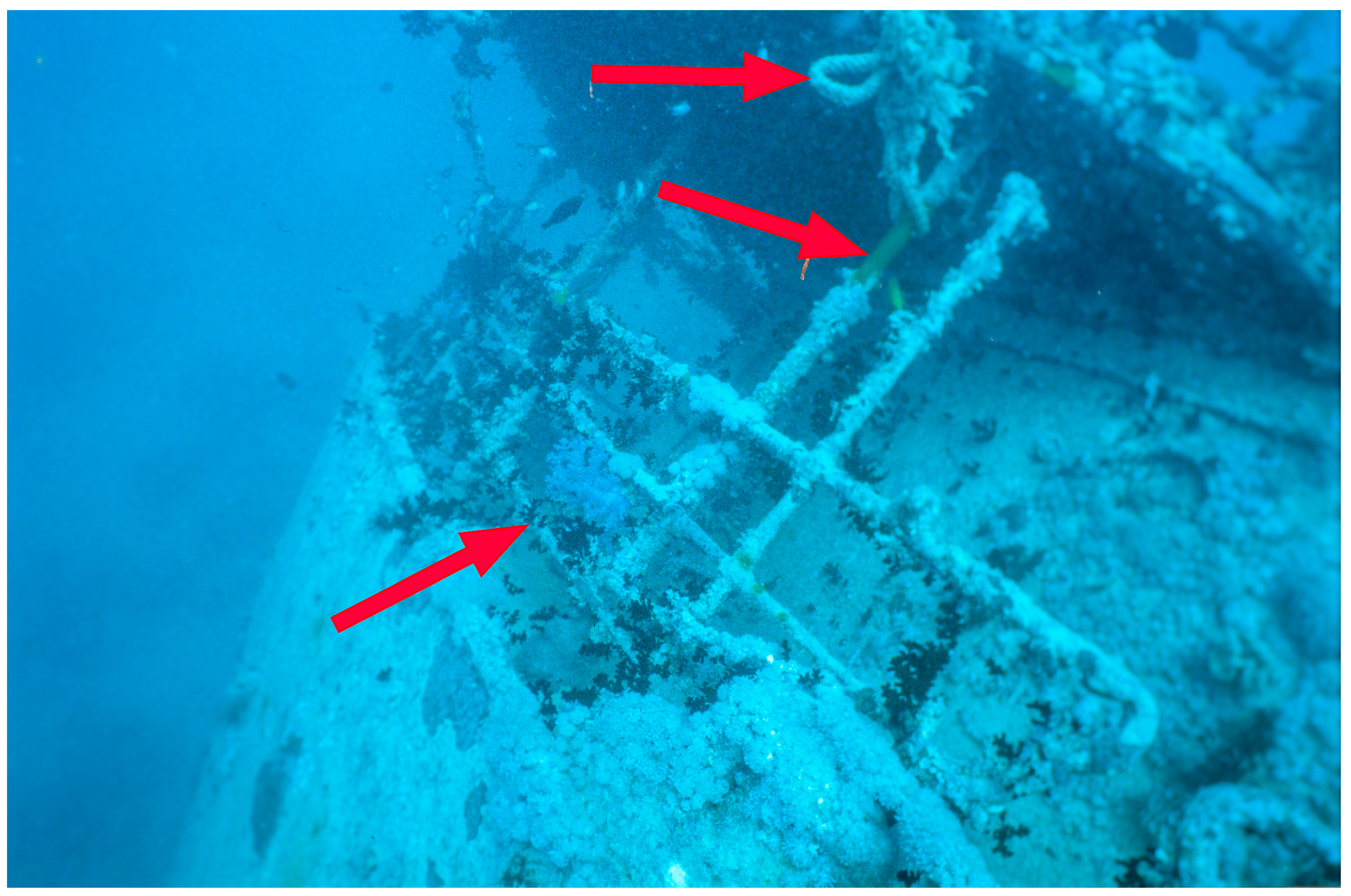 Heritage 08 00504 g003