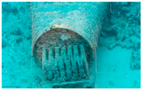 Heritage 08 00504 i003