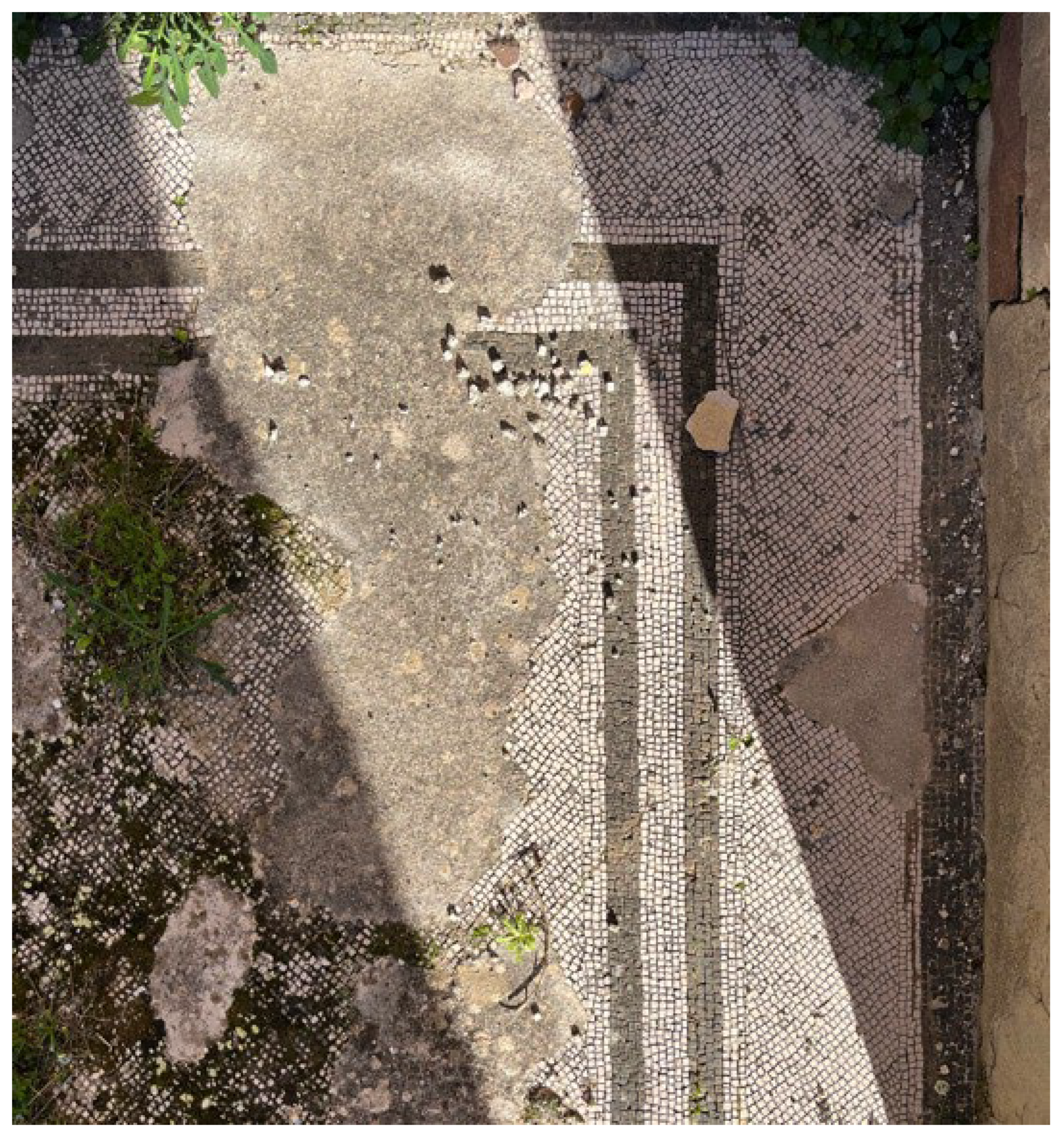 Heritage 08 00508 g017