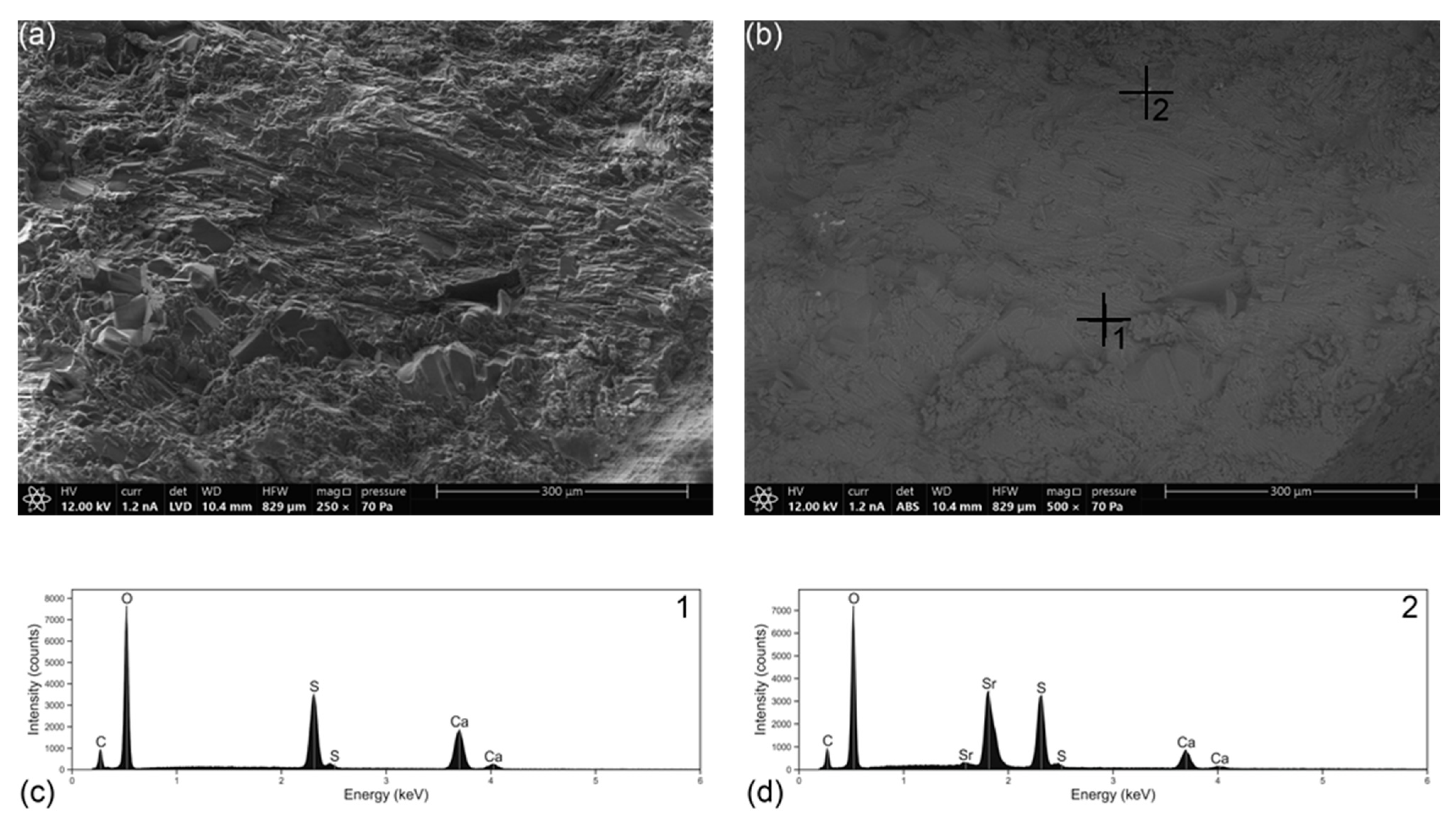 Heritage 08 00543 g004 Heritage 08 00543 g004