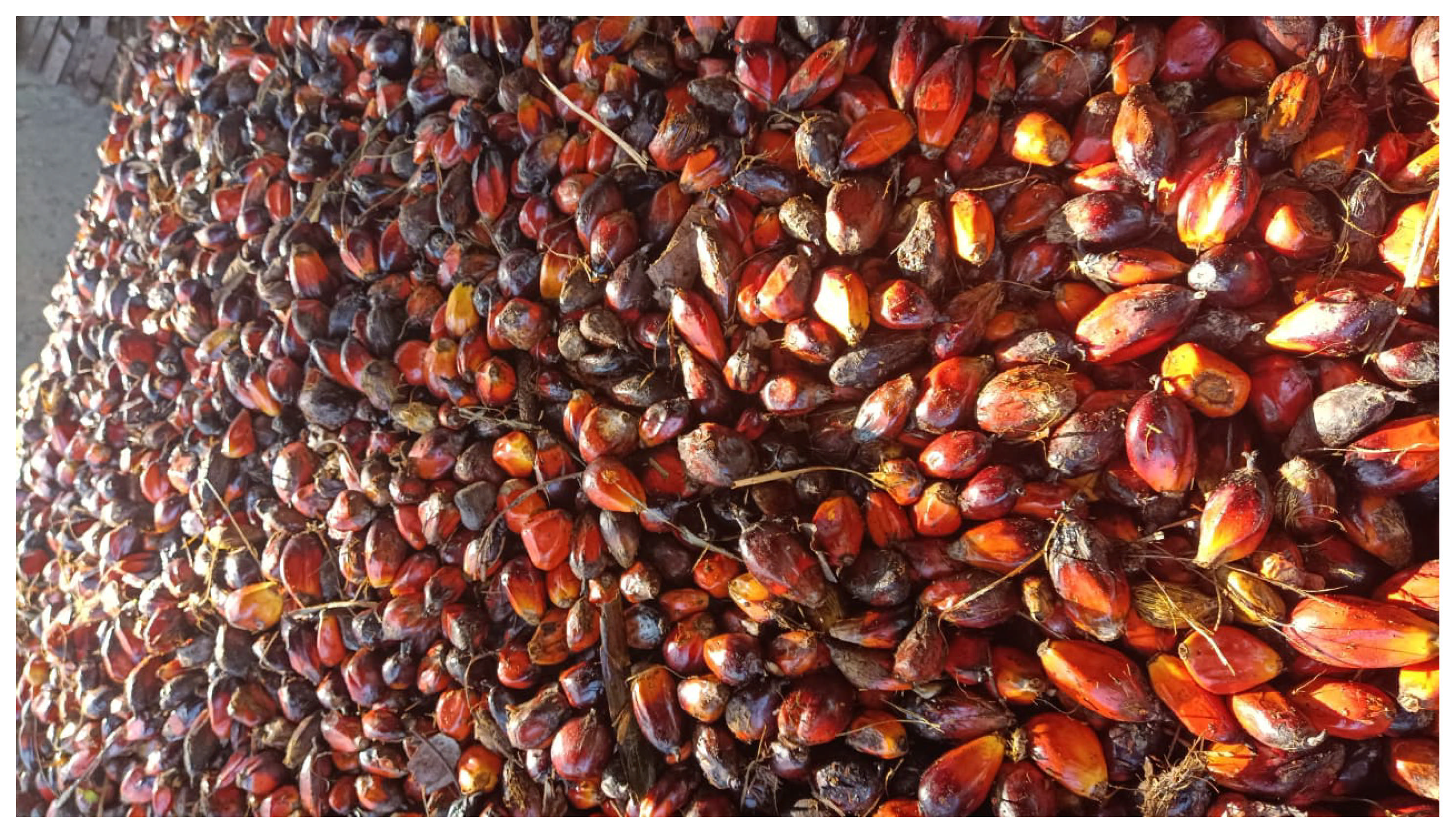 Heritage 09 00006 g004