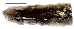 Heritage 09 00083 i001
