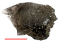 Heritage 09 00083 i005