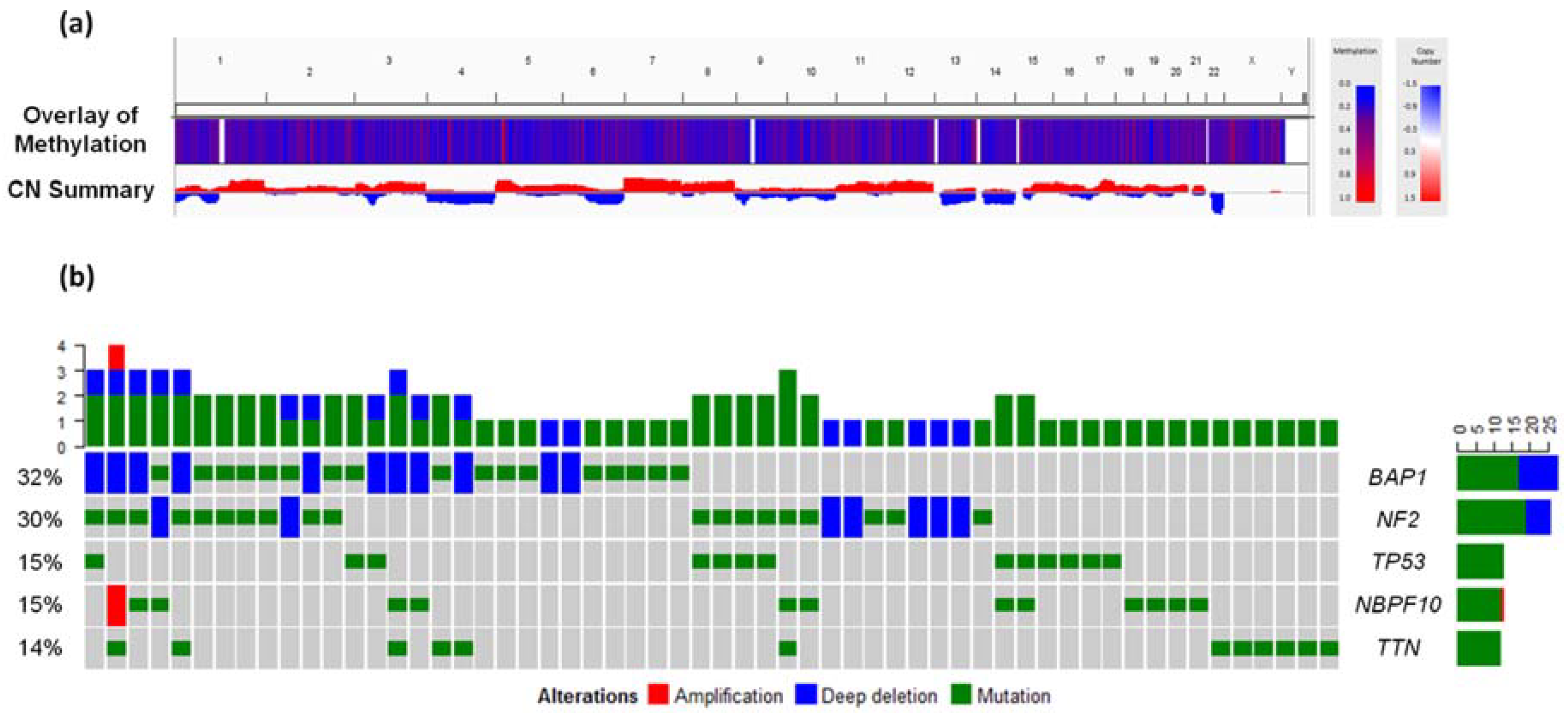 High Throughput Free Full Text Genomics And Epigenetics Of Malignant Mesothelioma Html