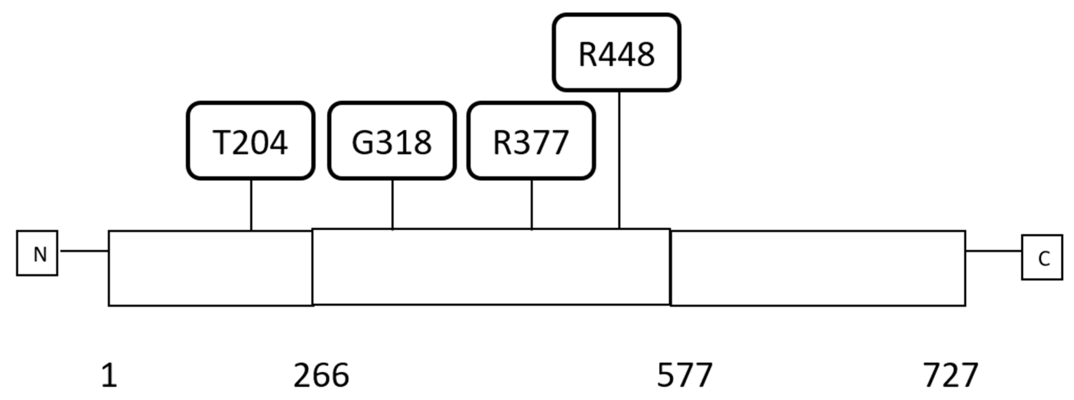 High throughput 07 00030 g001