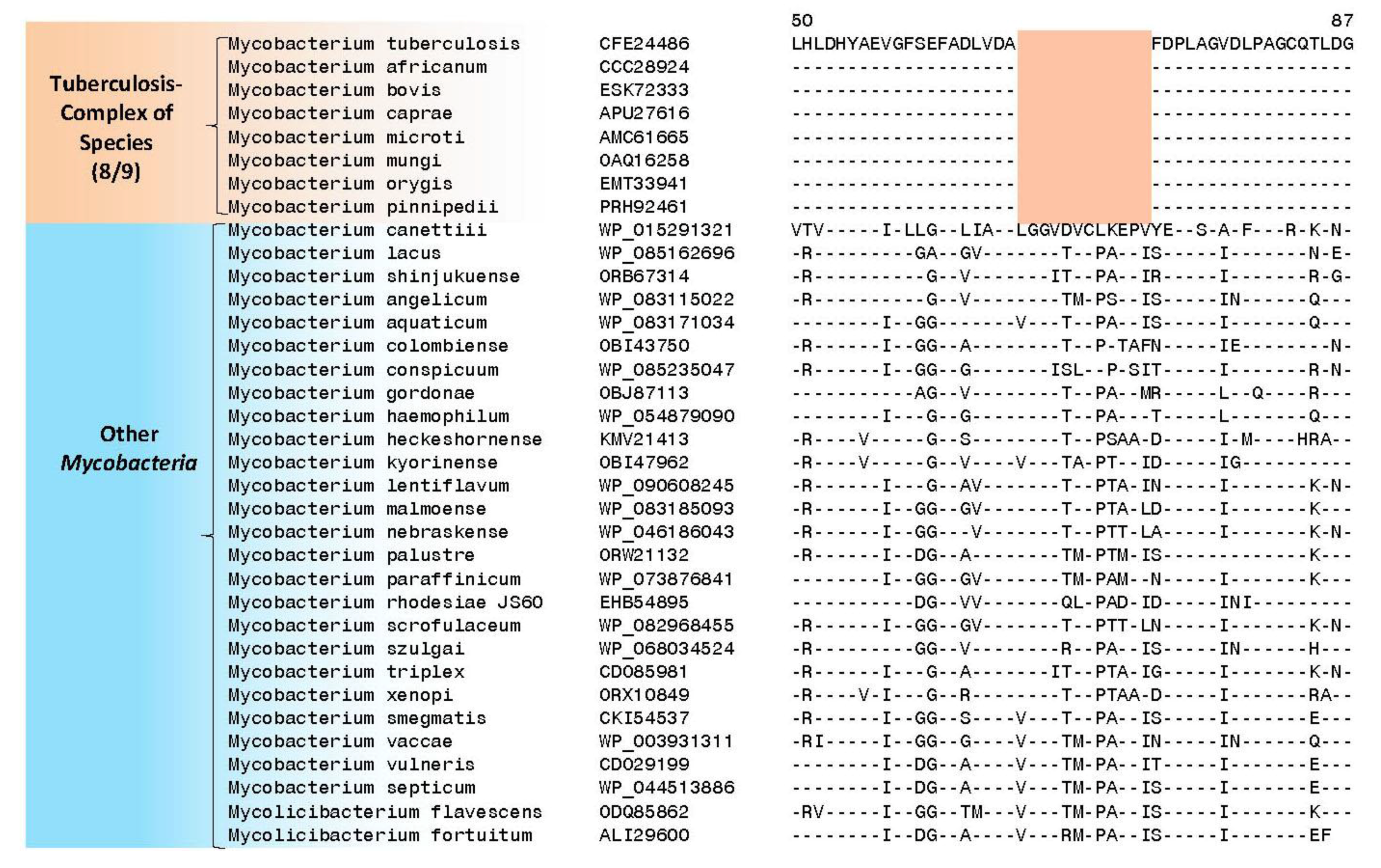 High throughput 07 00031 g004