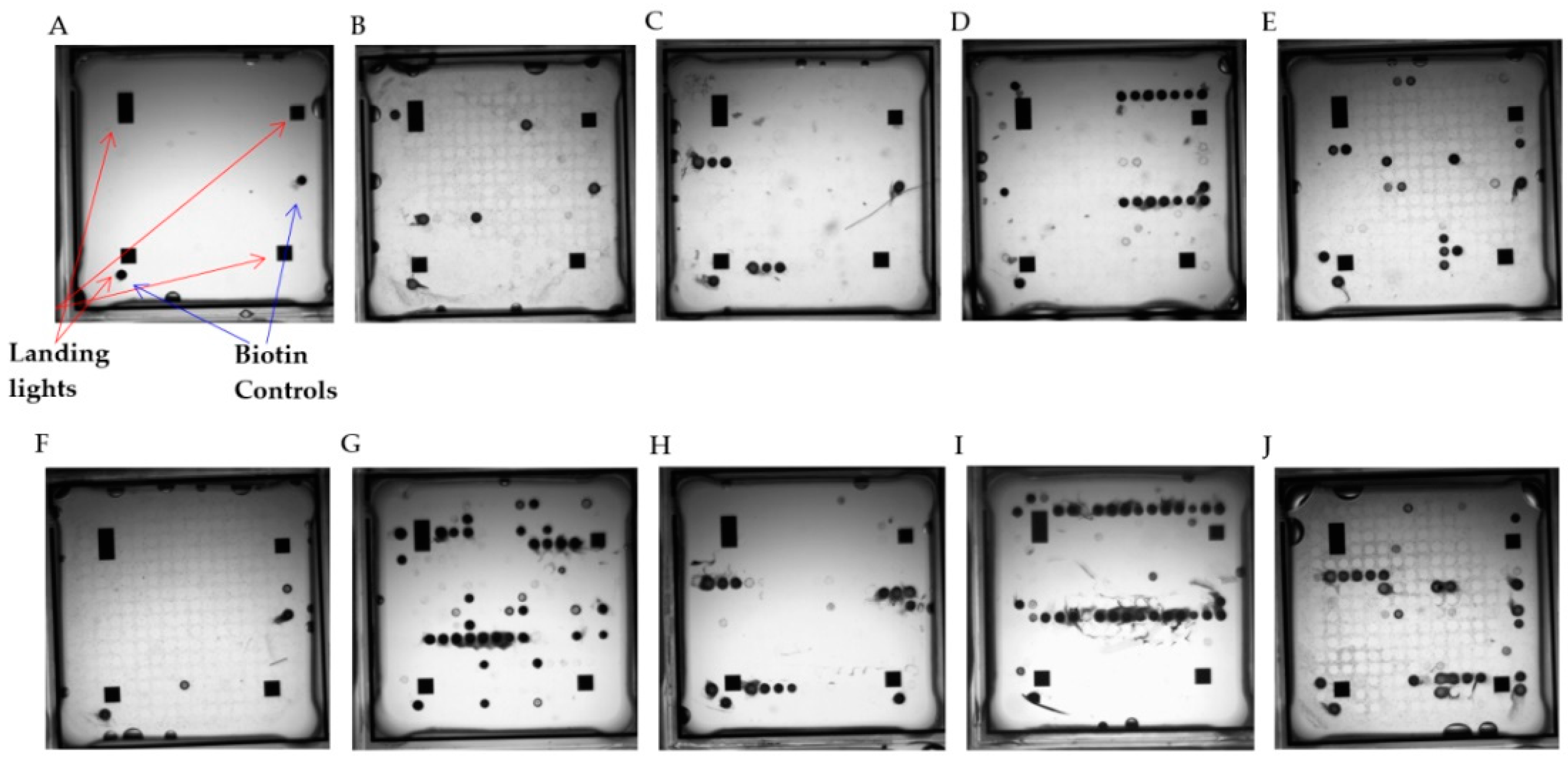 High throughput 07 00032 g004