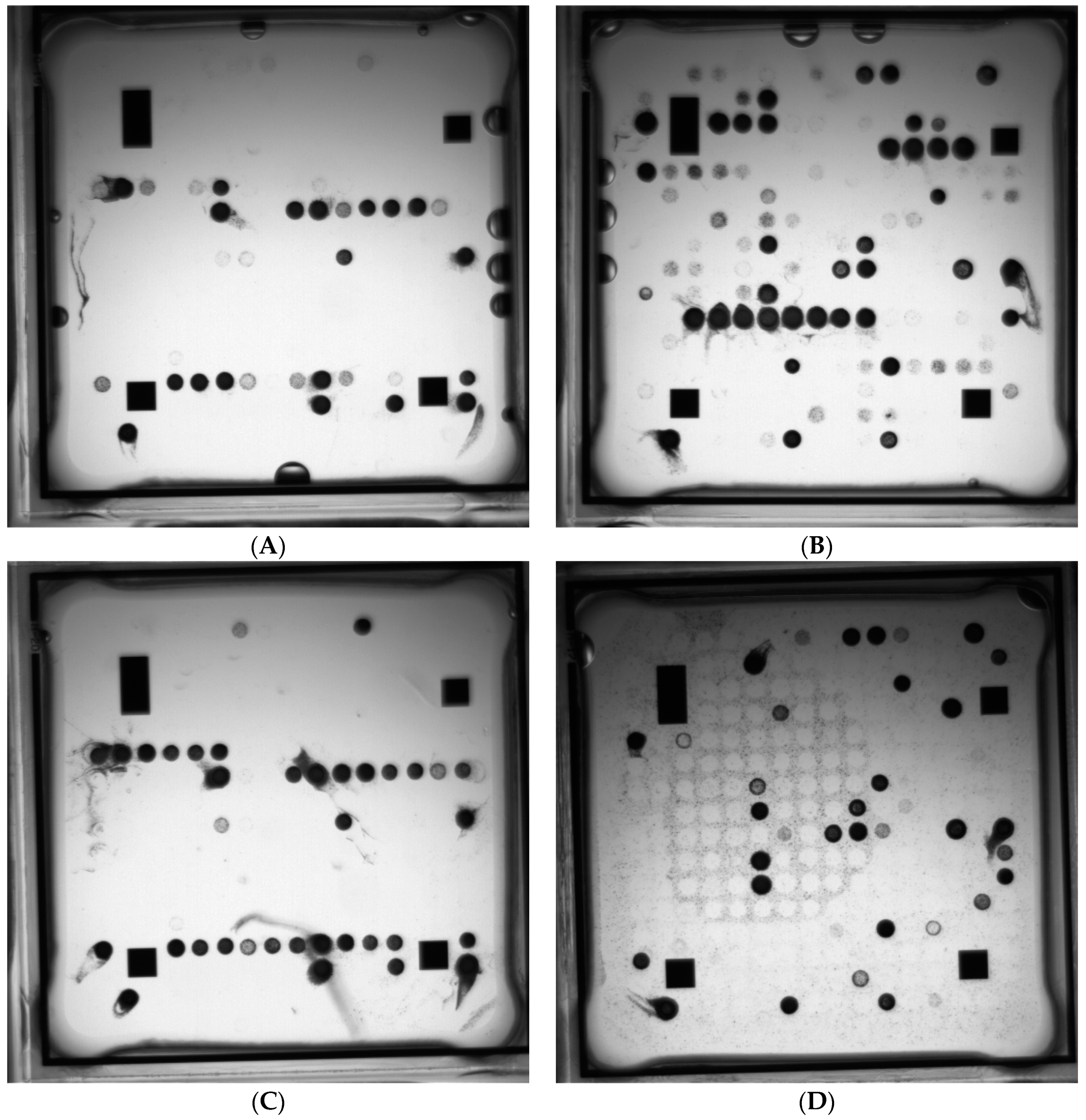 High throughput 07 00032 g006