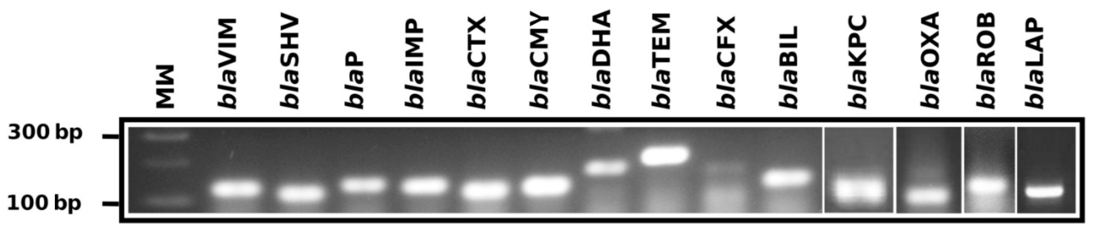 High throughput 07 00036 g003