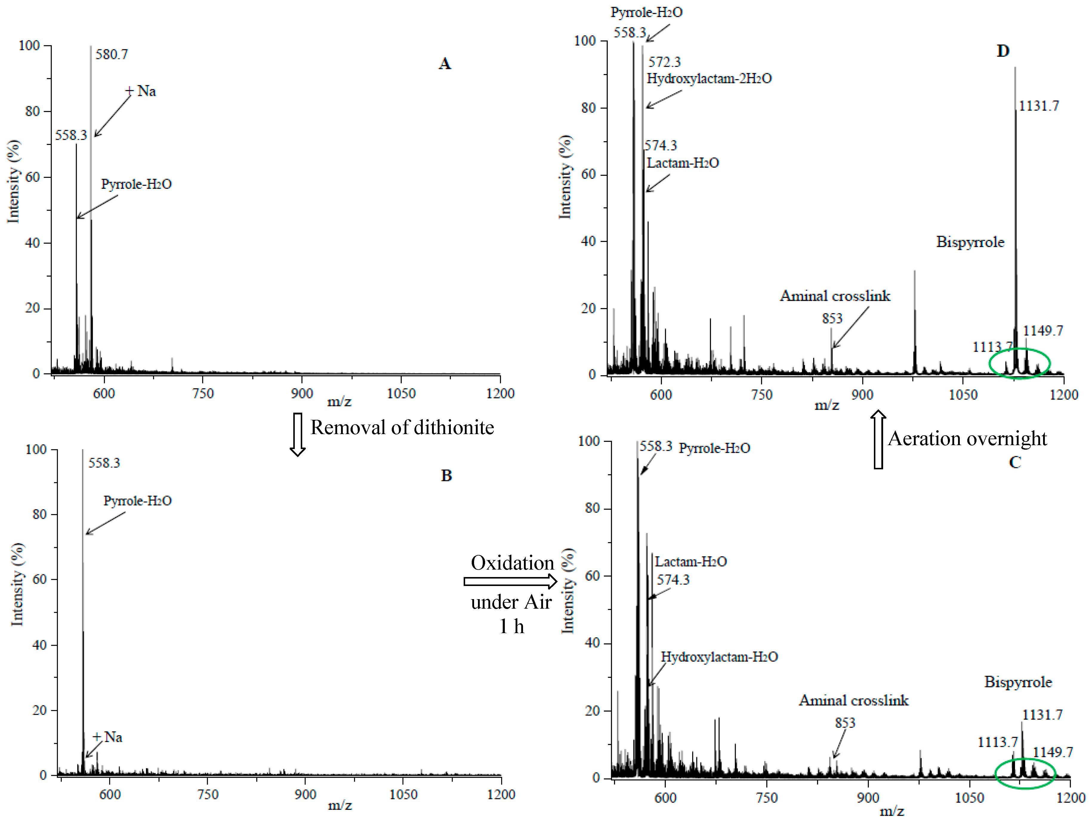 High throughput 08 00012 g001