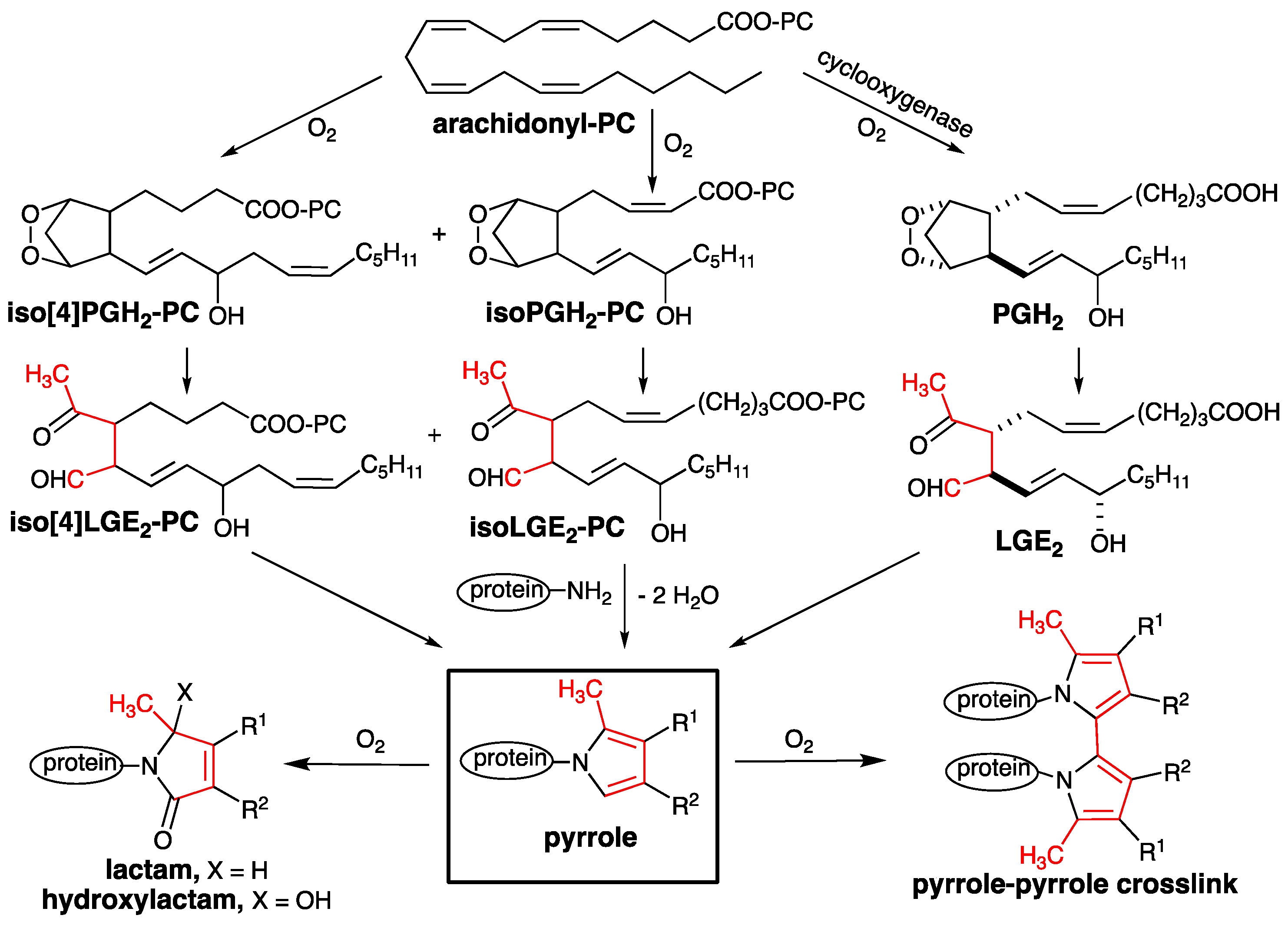 High throughput 08 00012 sch001