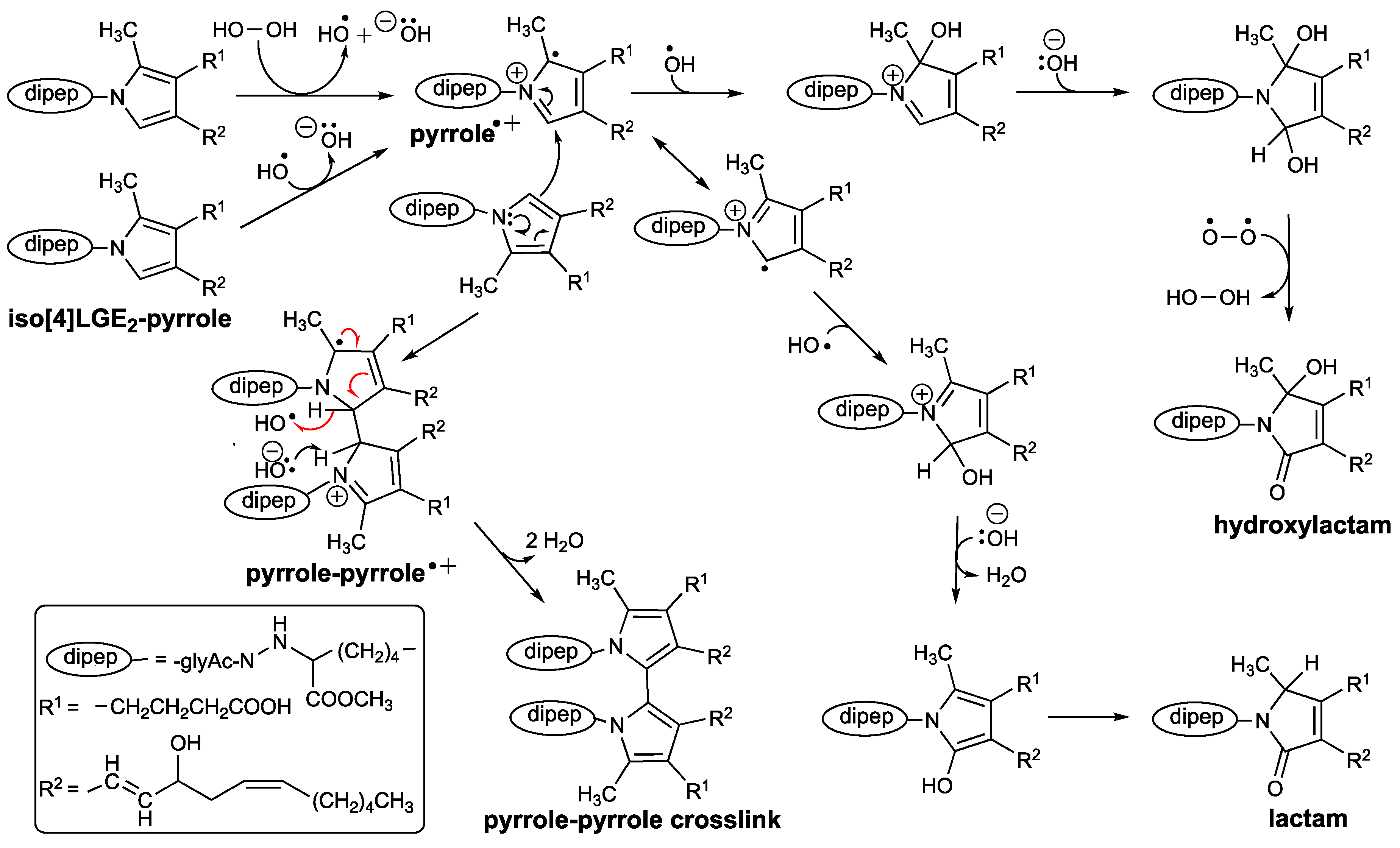 High throughput 08 00012 sch005