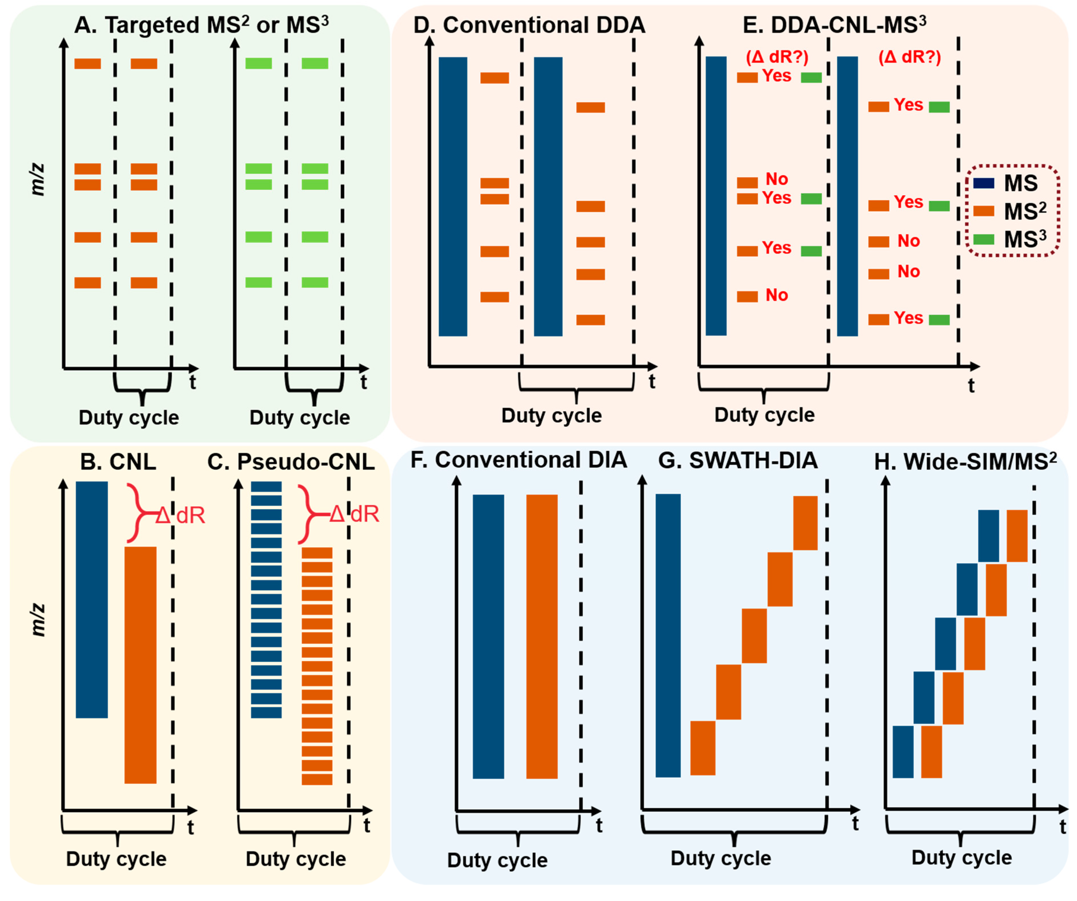 High throughput 08 00013 g003