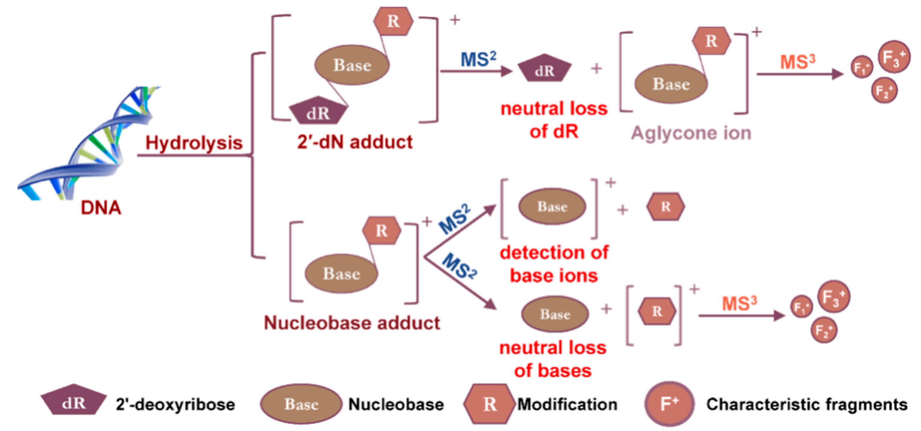 High throughput 08 00013 g004
