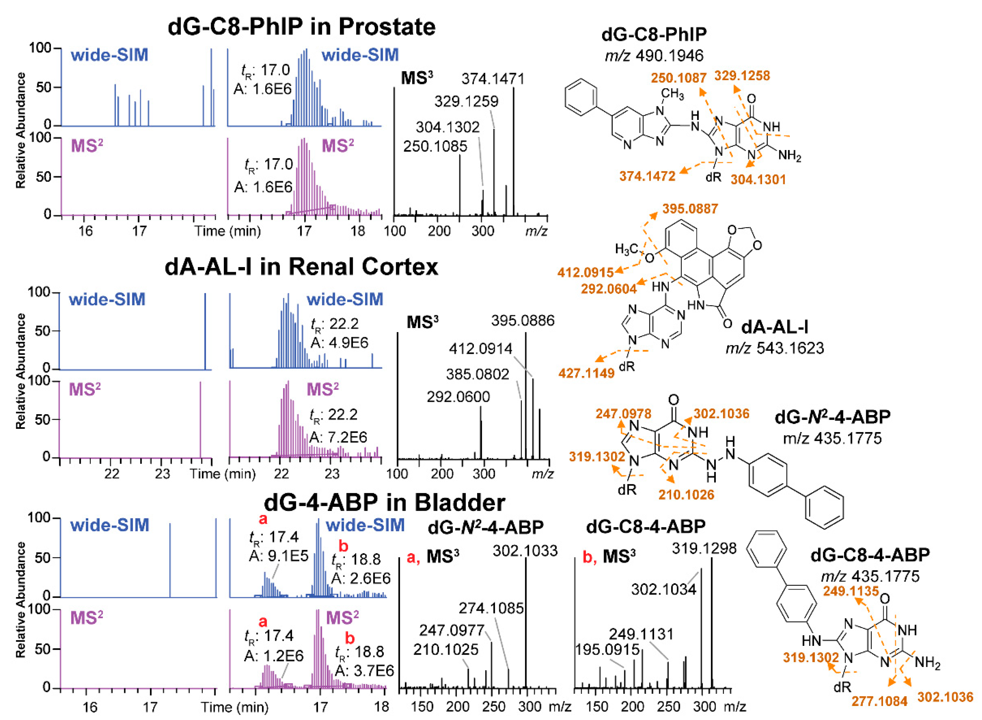 High throughput 08 00013 g009