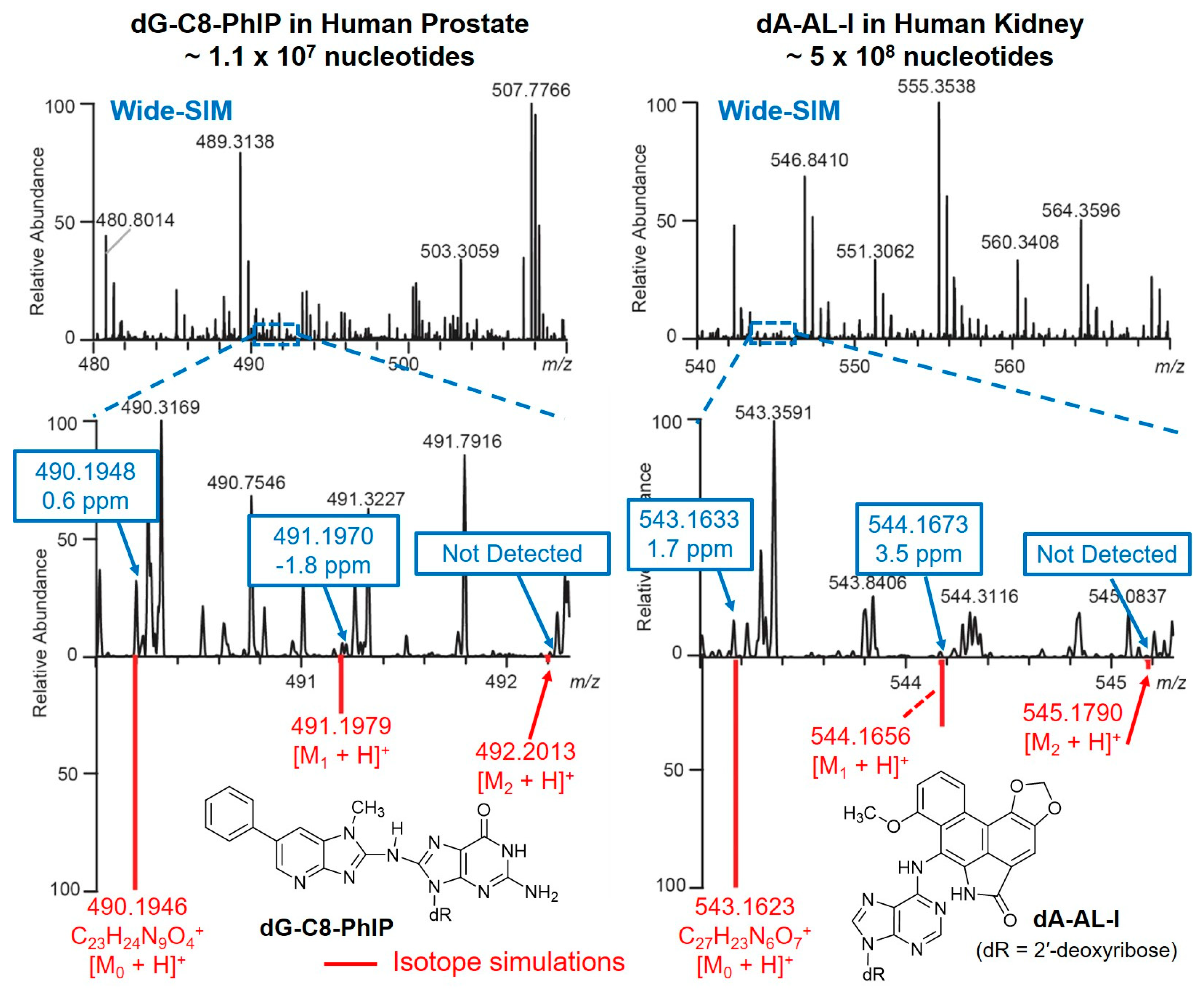 High throughput 08 00013 g010