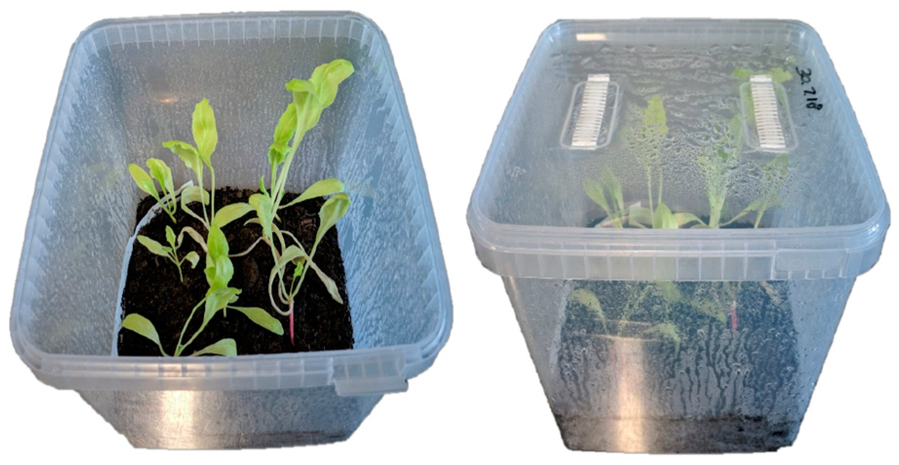 High throughput 08 00018 g001