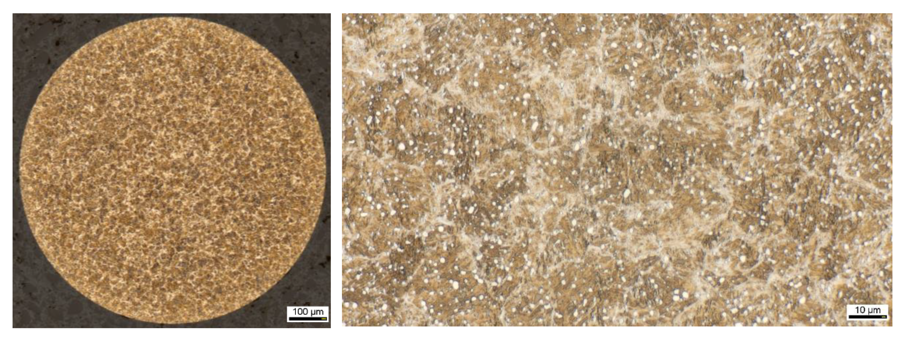 High throughput 08 00022 g001