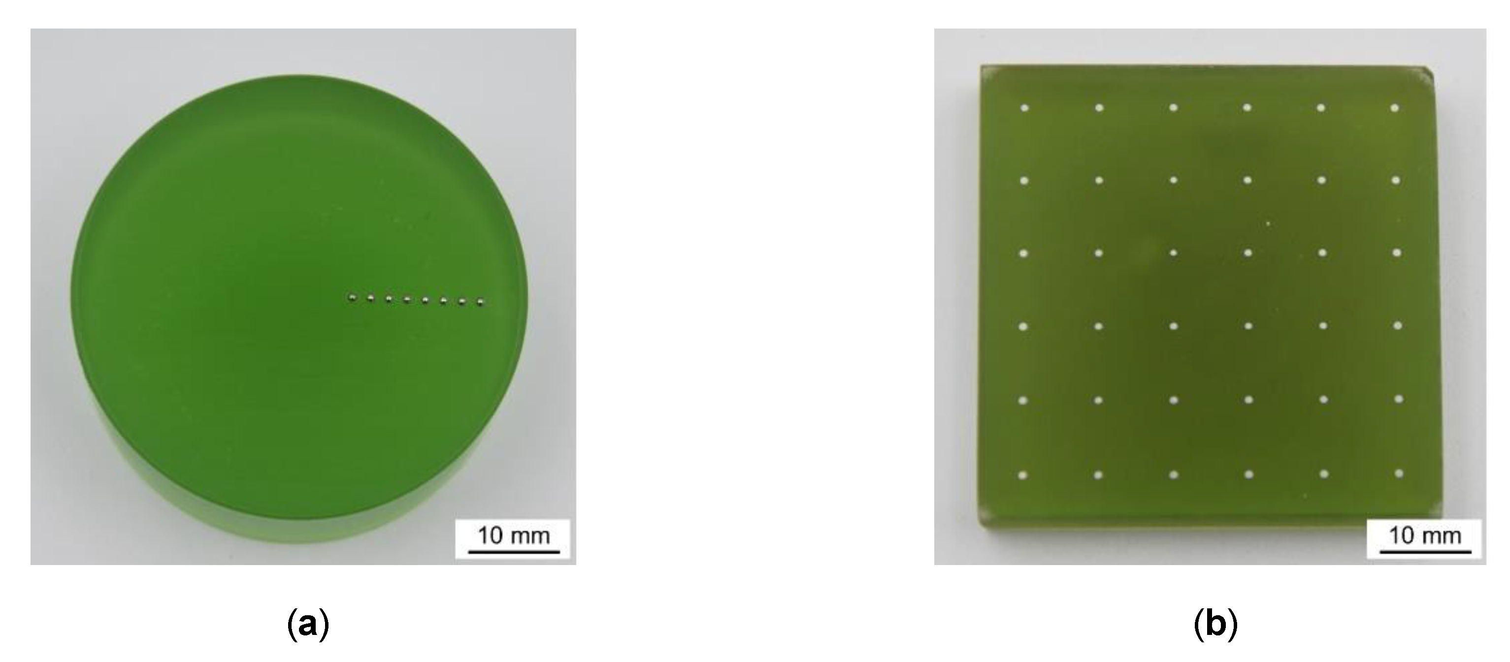 High throughput 08 00022 g004