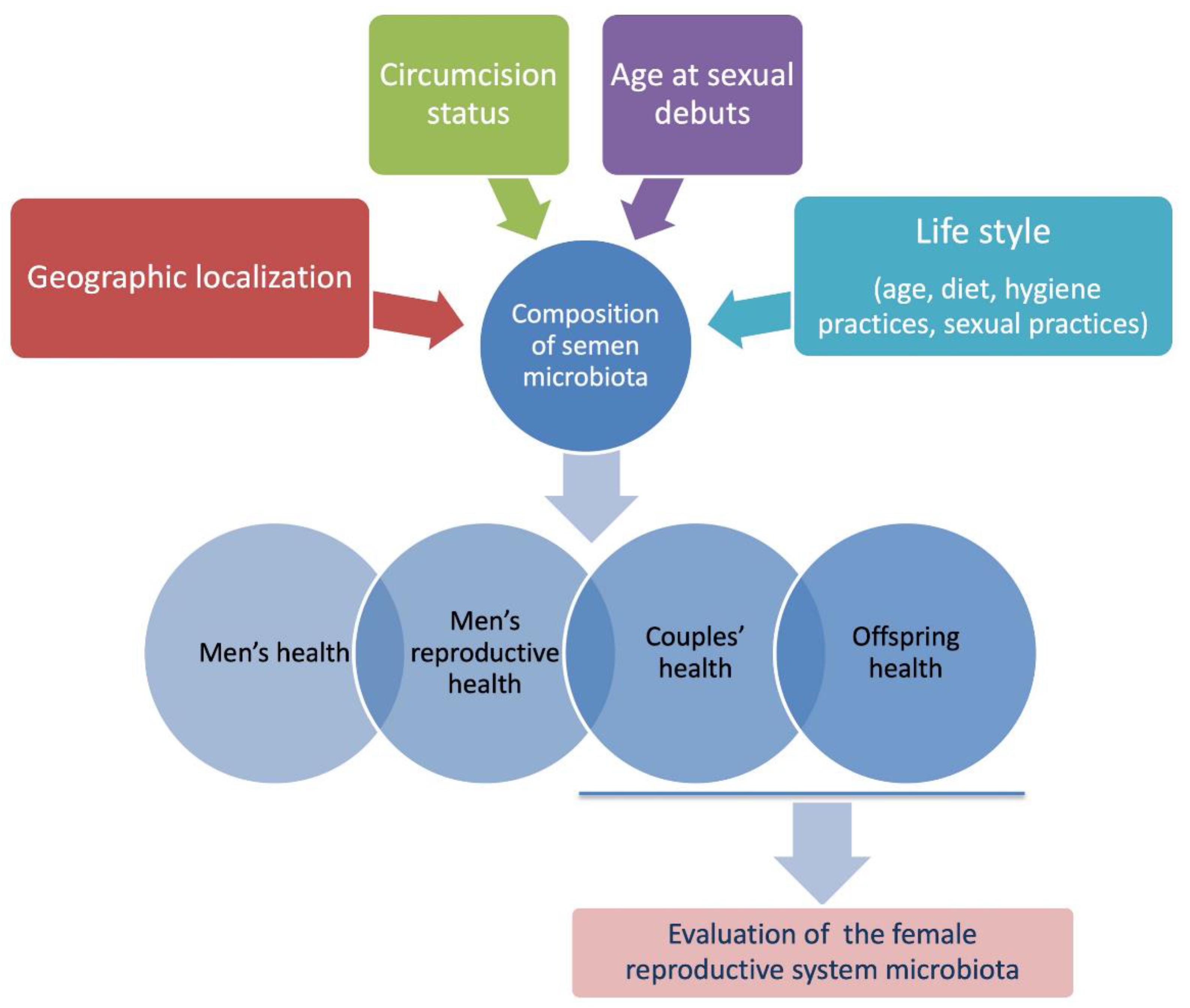 High throughput 09 00010 g002