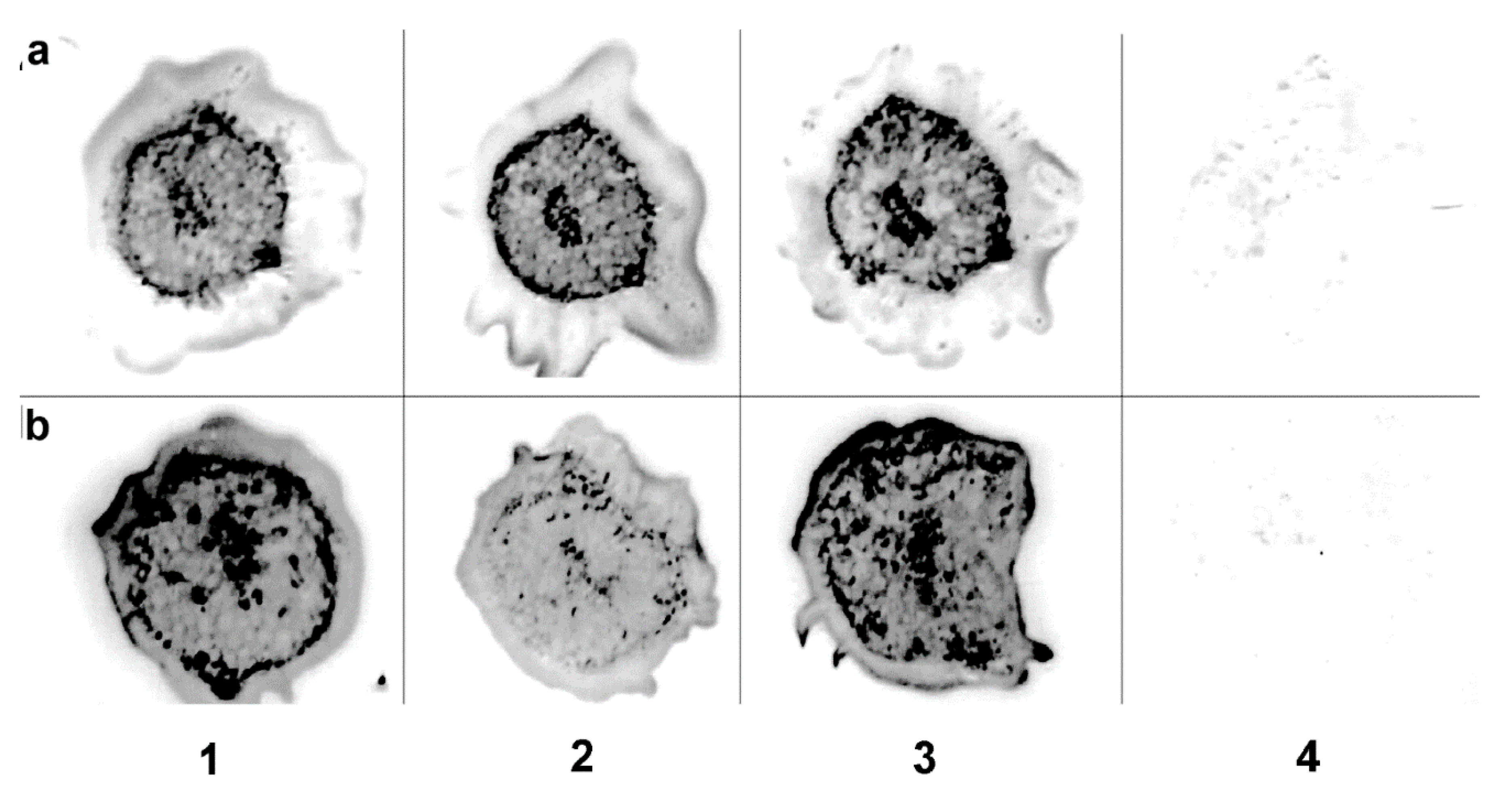 High throughput 09 00011 g003 550