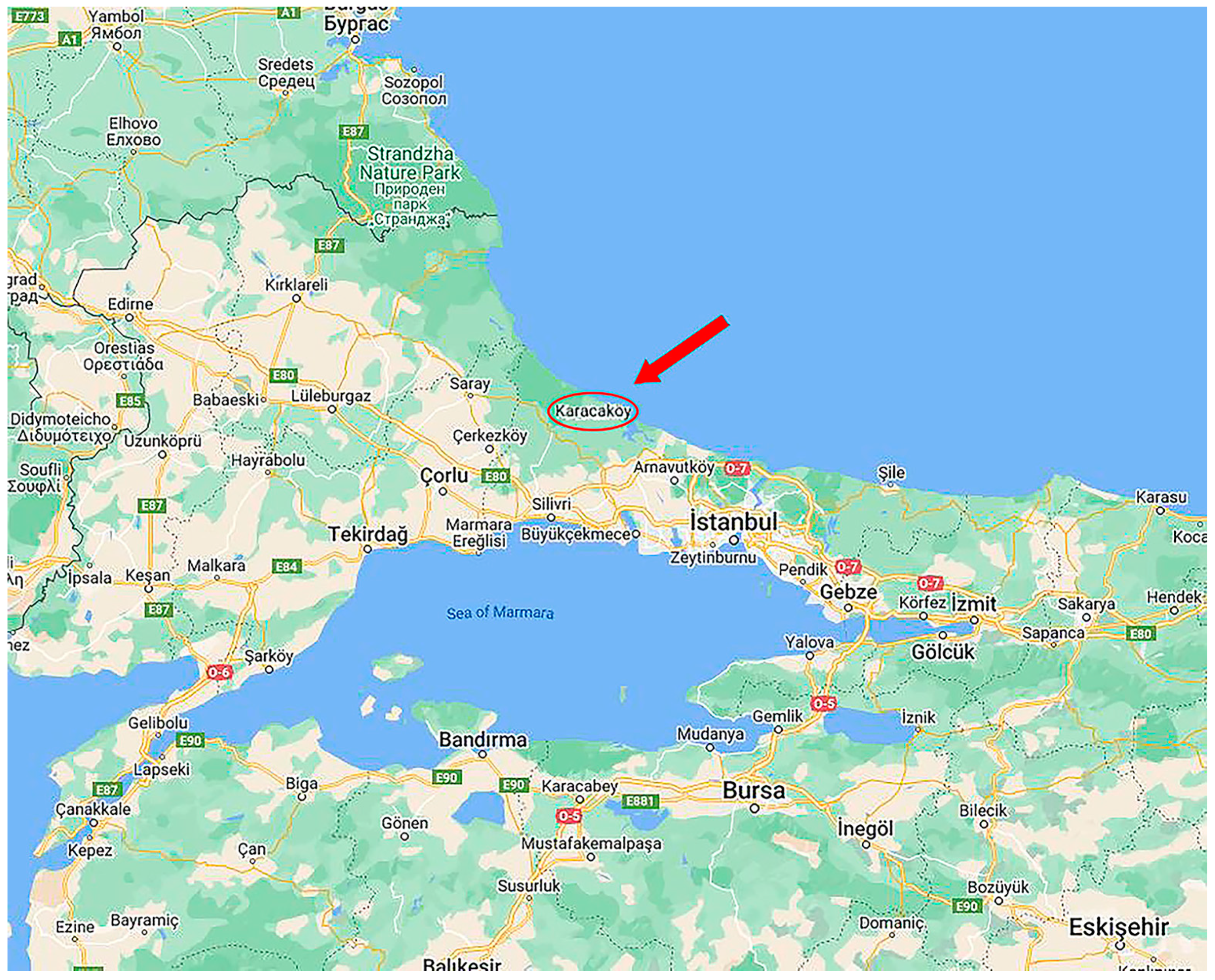 Histories 05 00010 g002