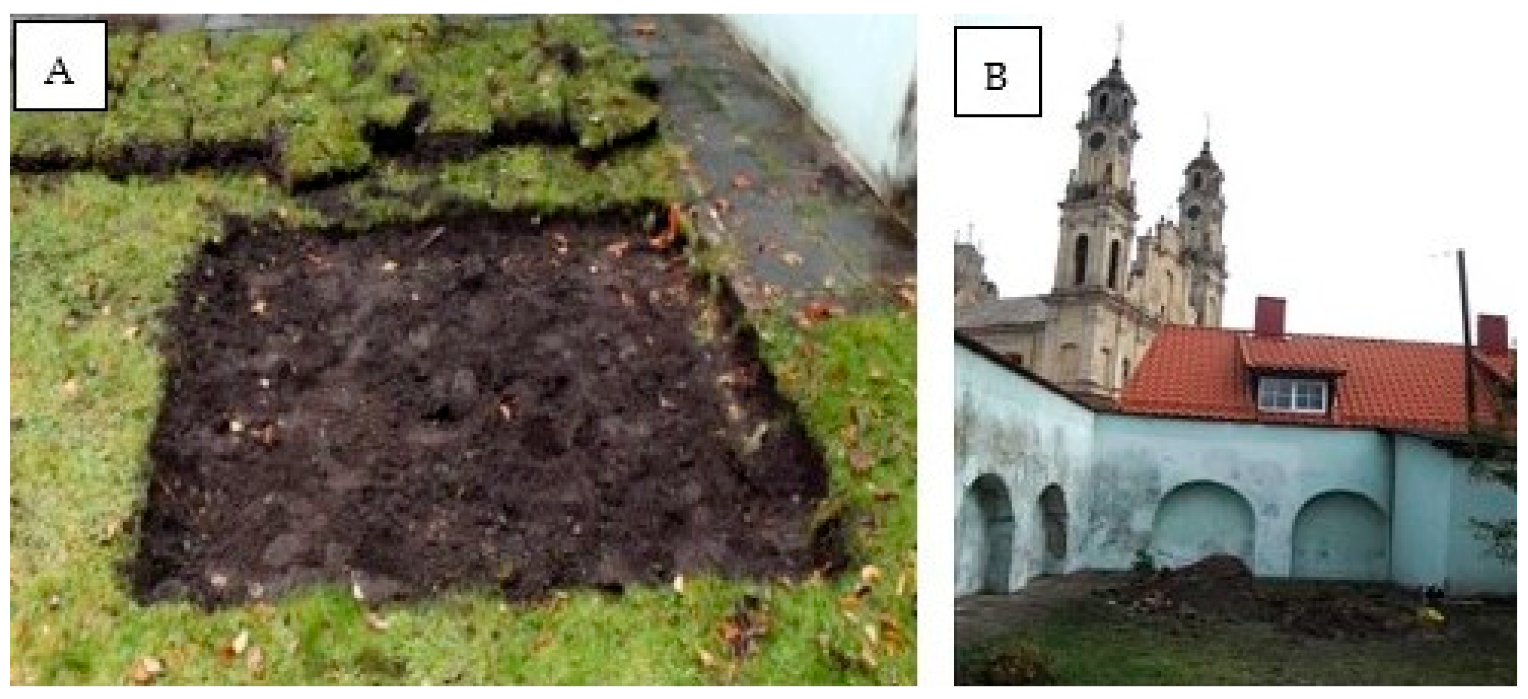 Histories 05 00017 g008