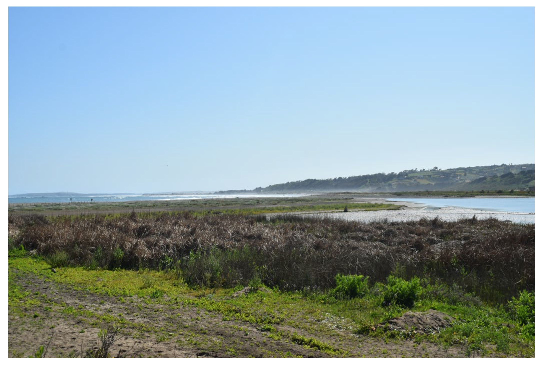 Histories 05 00031 g003