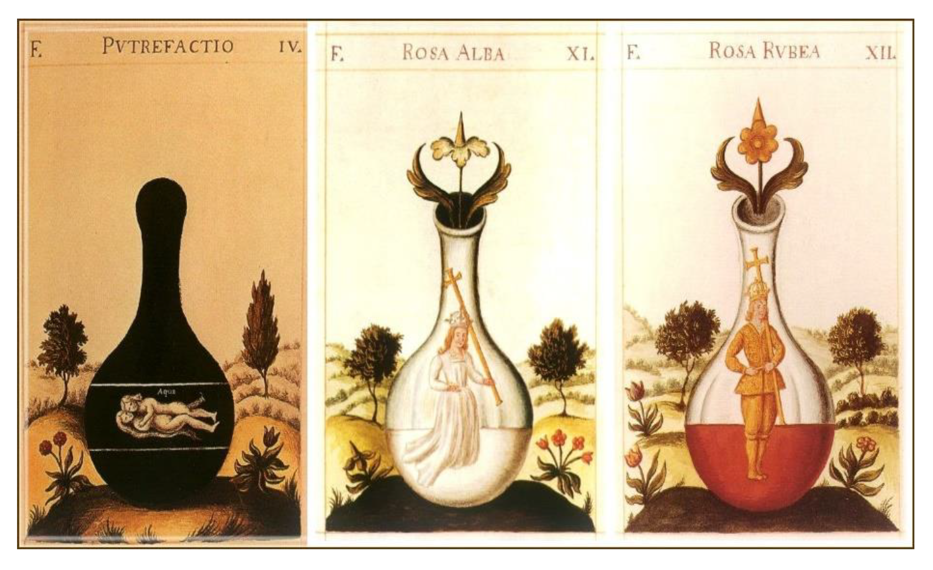 Histories 05 00034 g008