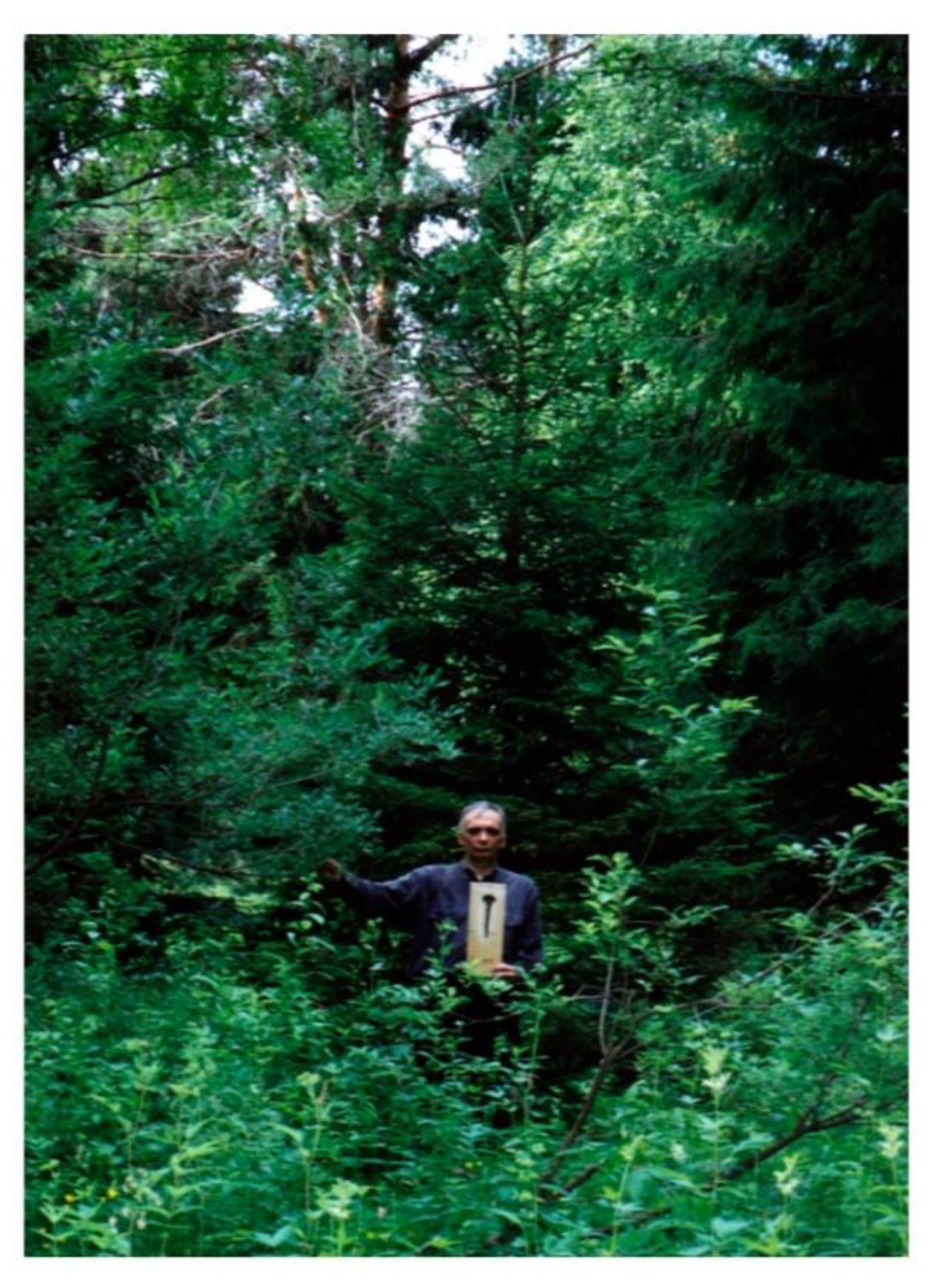 Histories 05 00034 g016