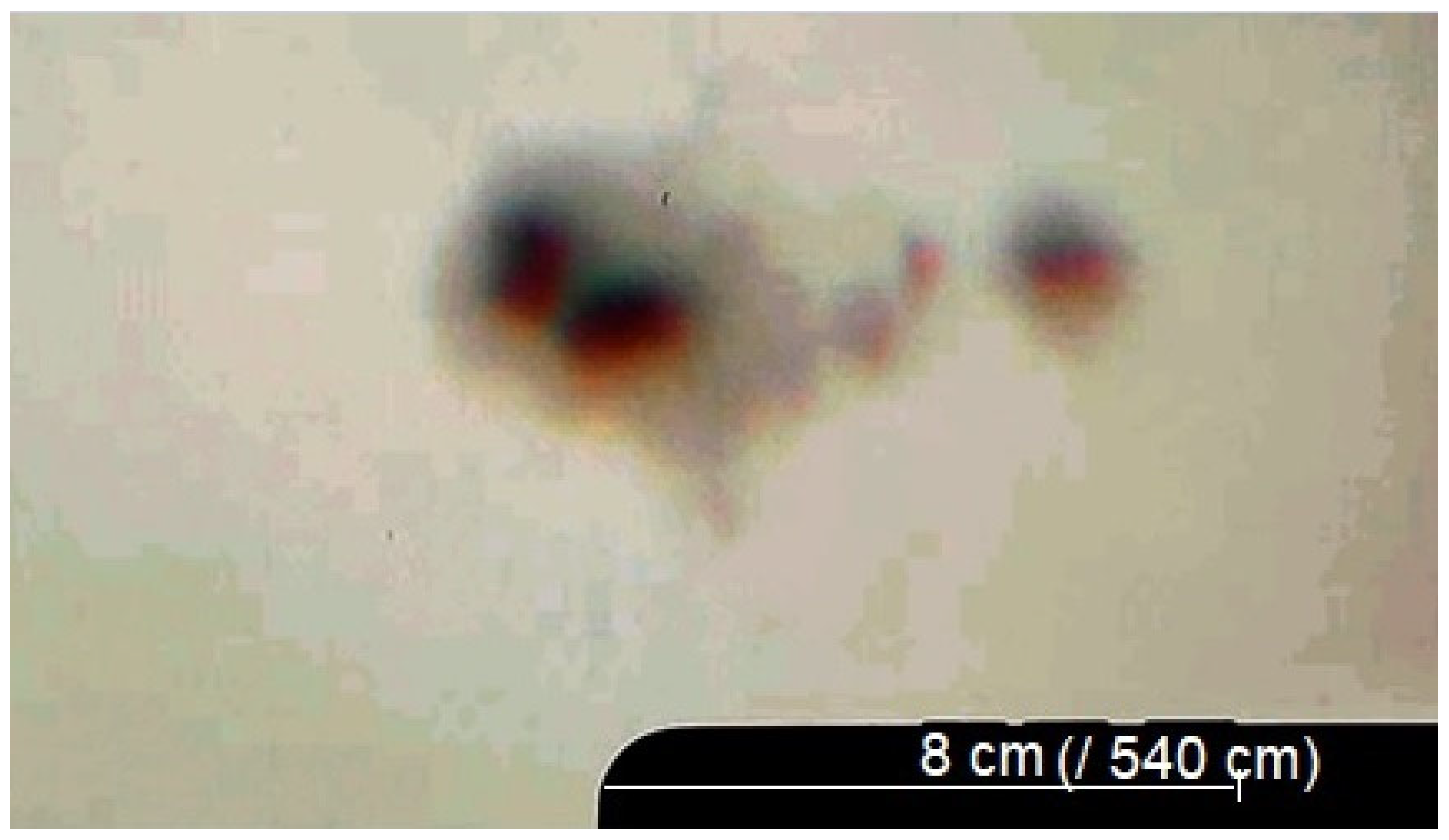 Histories 05 00048 g013 Histories 05 00048 g013