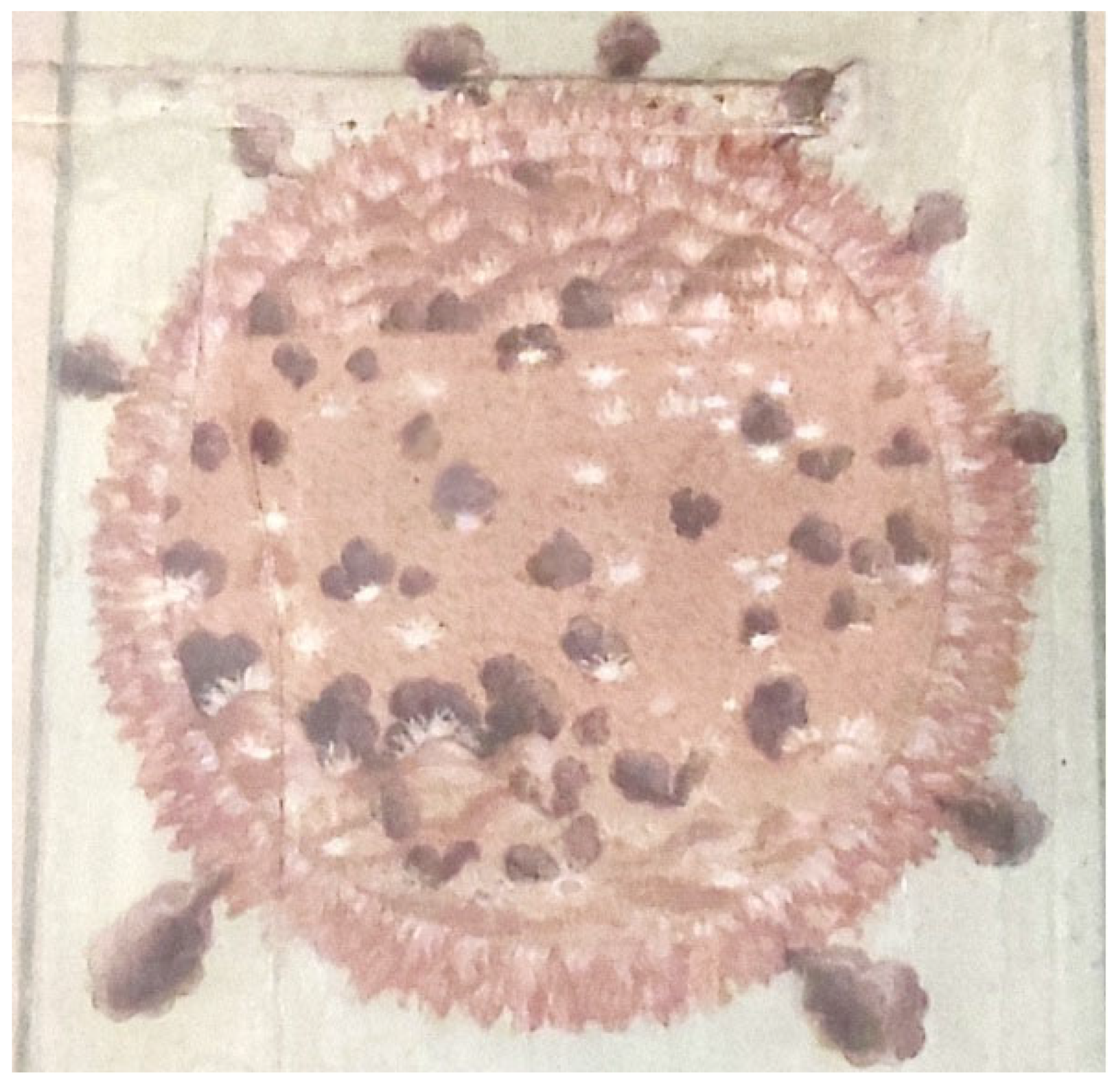 Histories 05 00048 g018 Histories 05 00048 g018