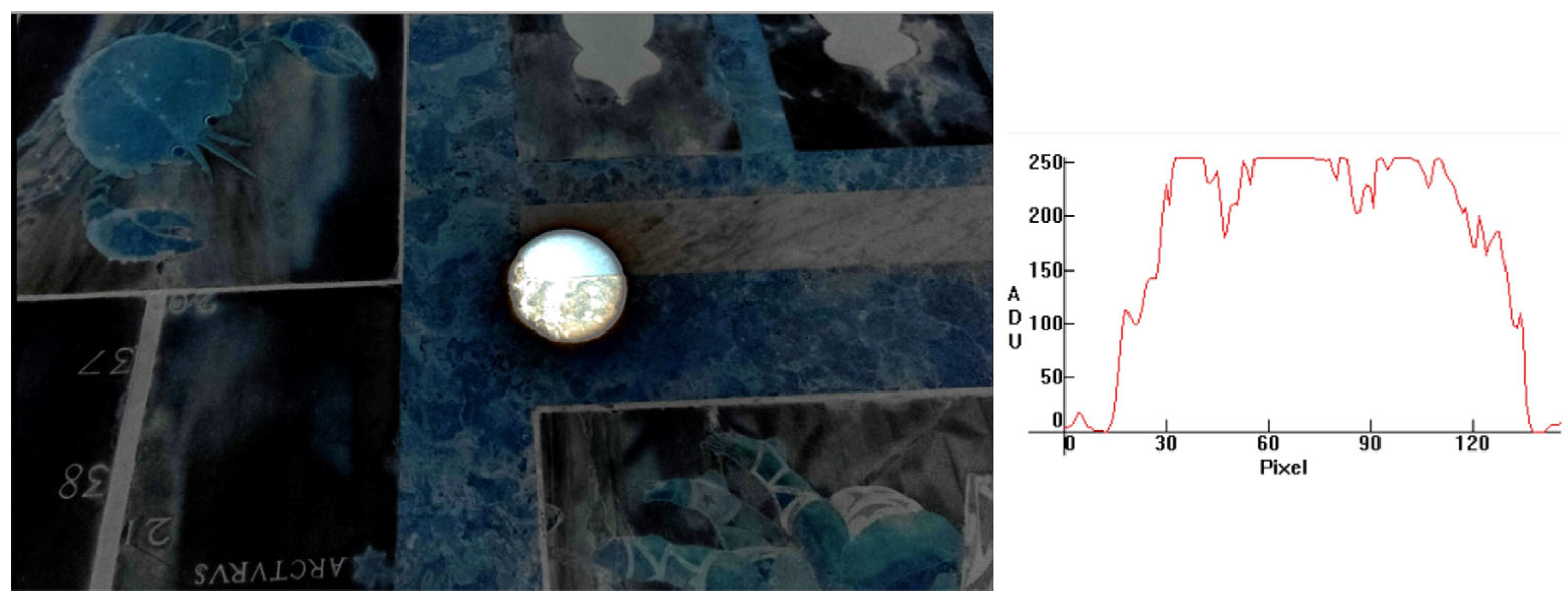 Histories 05 00048 g020 Histories 05 00048 g020