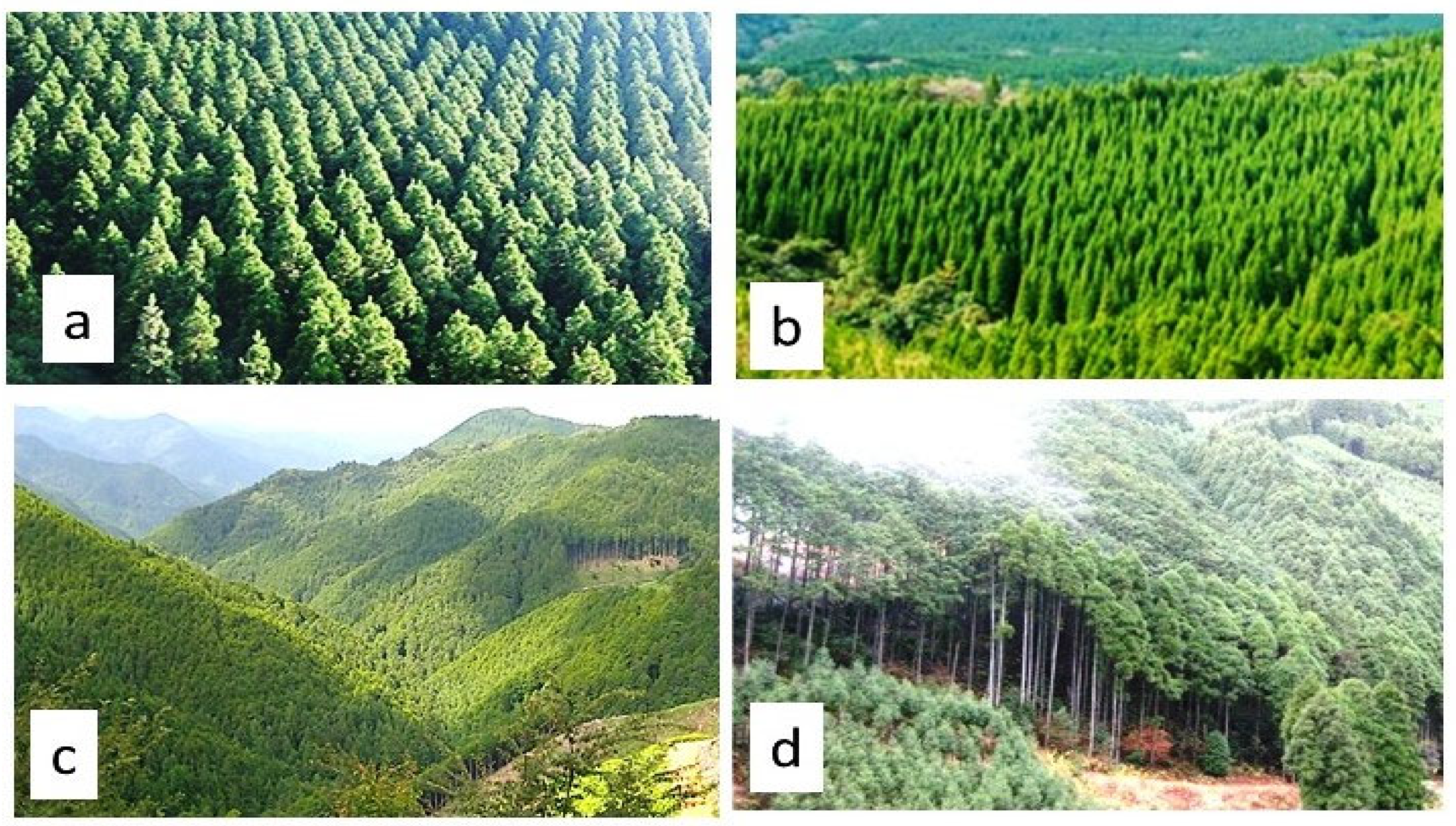 Histories 05 00060 g004