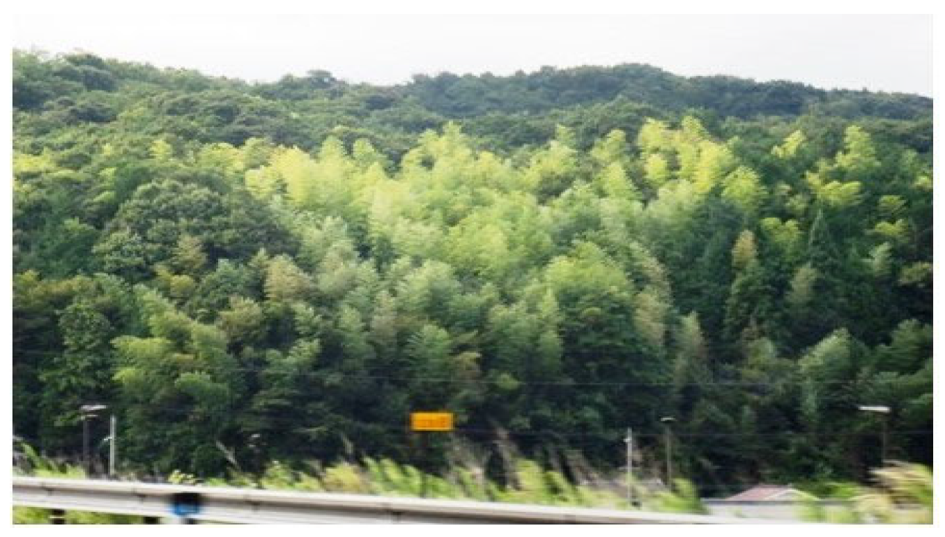 Histories 05 00060 g005