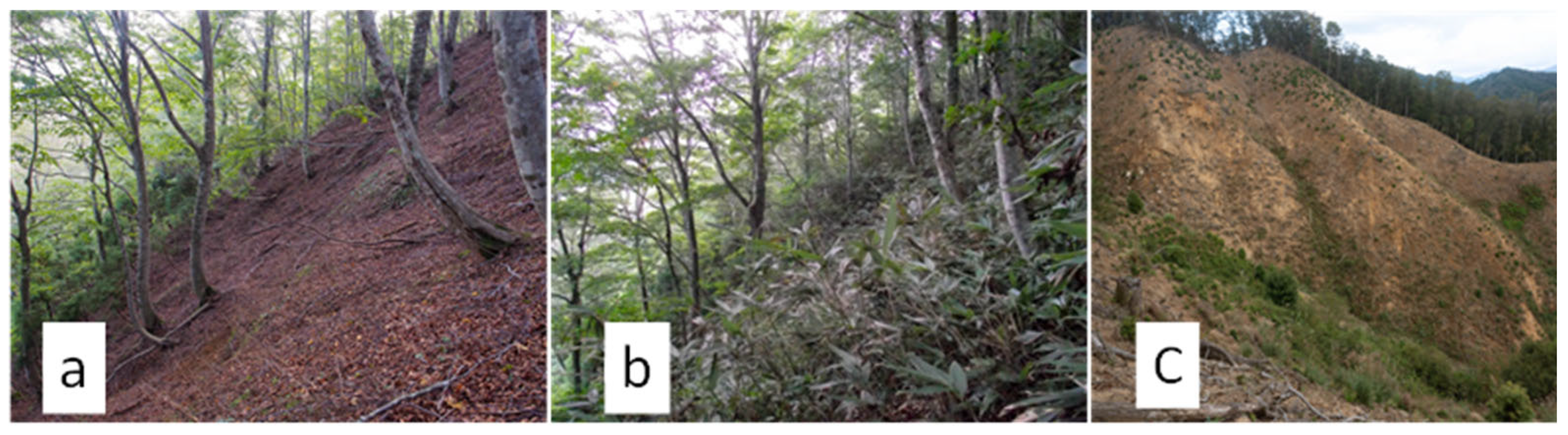 Histories 05 00060 g006