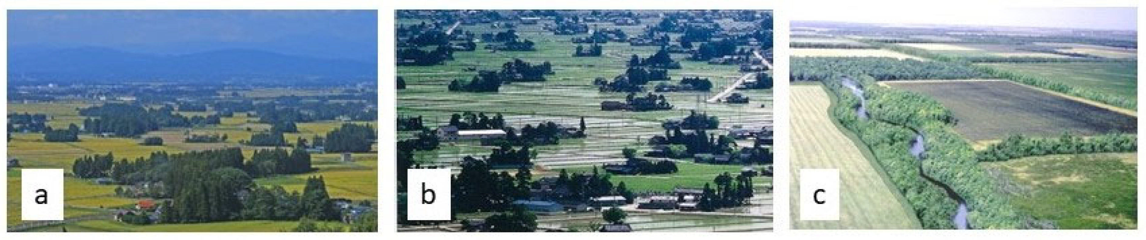 Histories 05 00060 g007