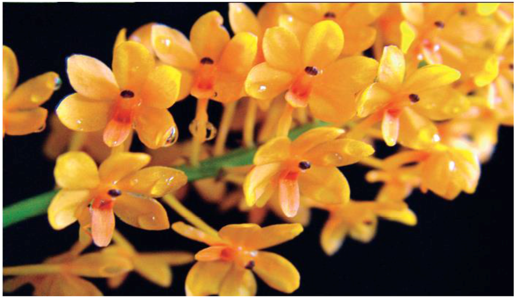 Horticulturae 02 00009 g009 1024
