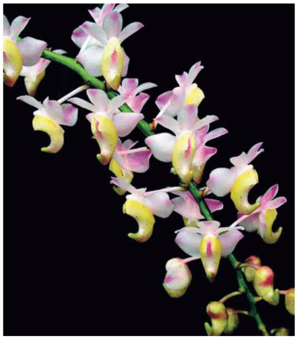 Horticulturae 02 00009 g010 1024