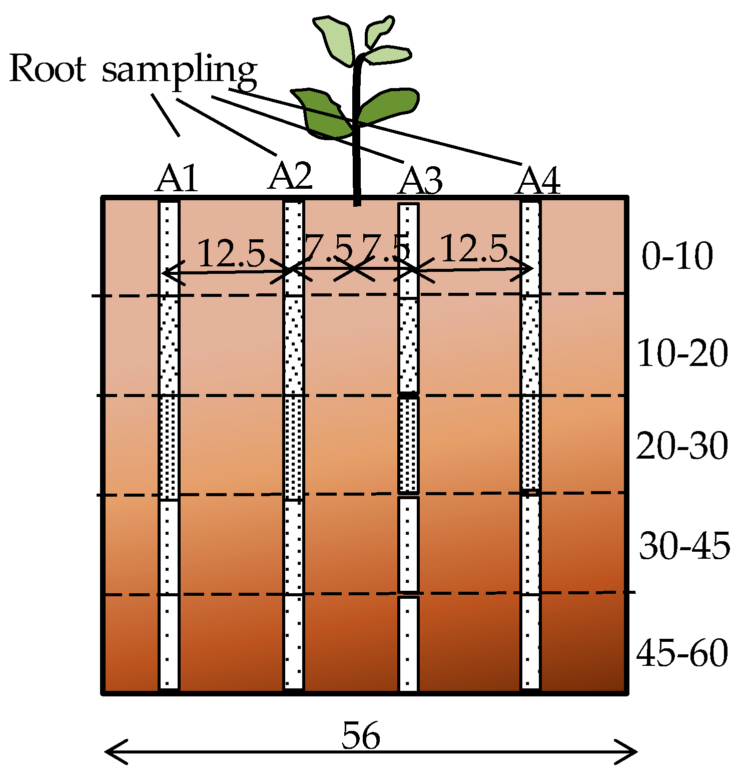 Horticulturae 02 00013 g002